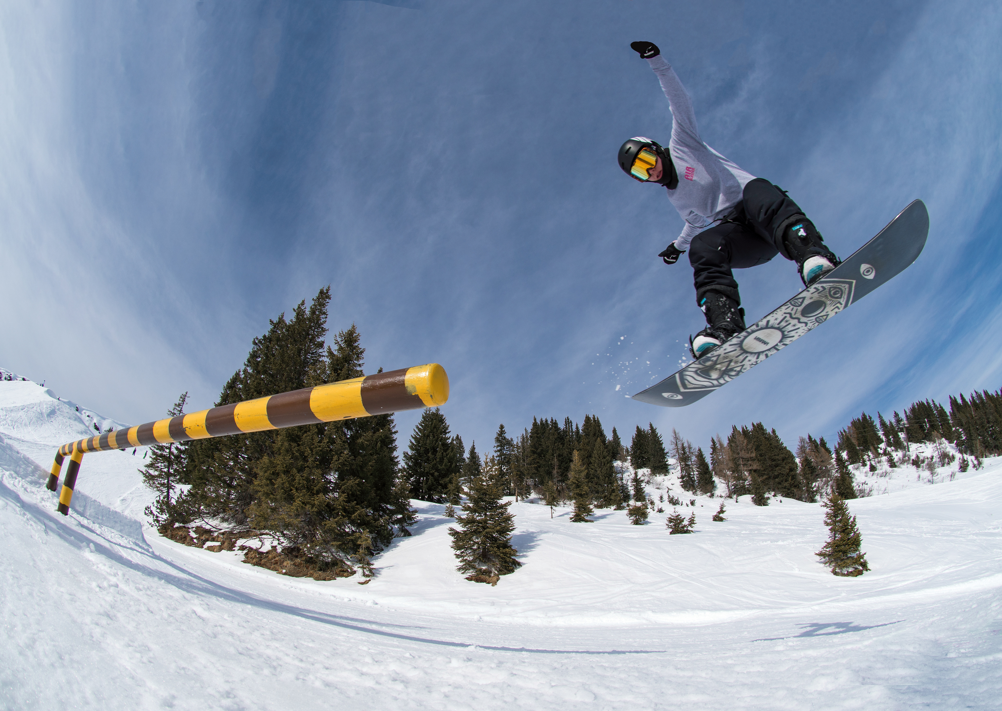 Rider: Sofie Brederveld