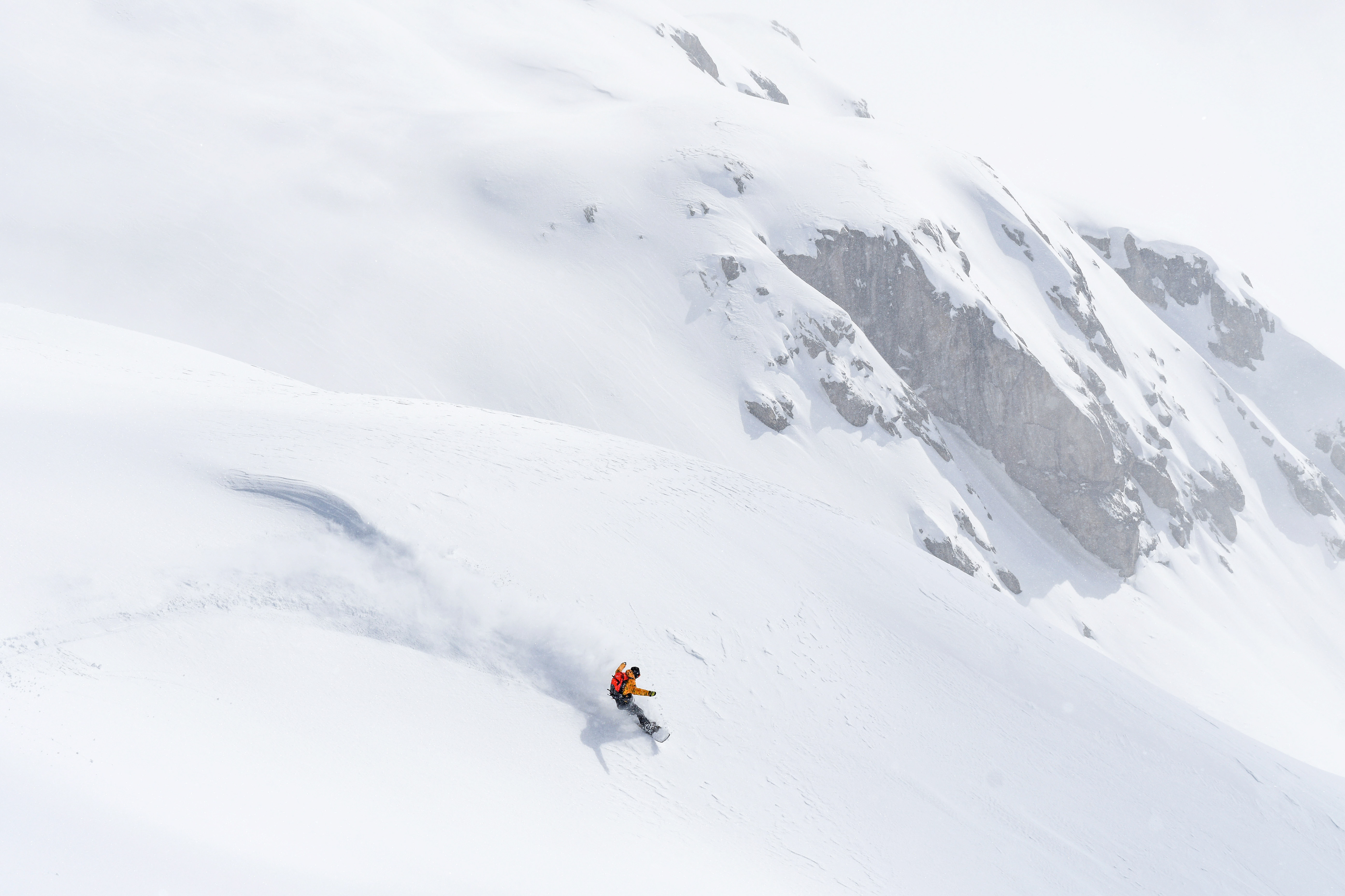 Rider: Matthijs Hol Horeman