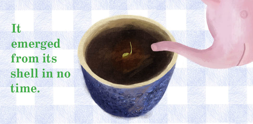 Book Spread, Illustrated with Procreate, Designed with InDesign, March 2026