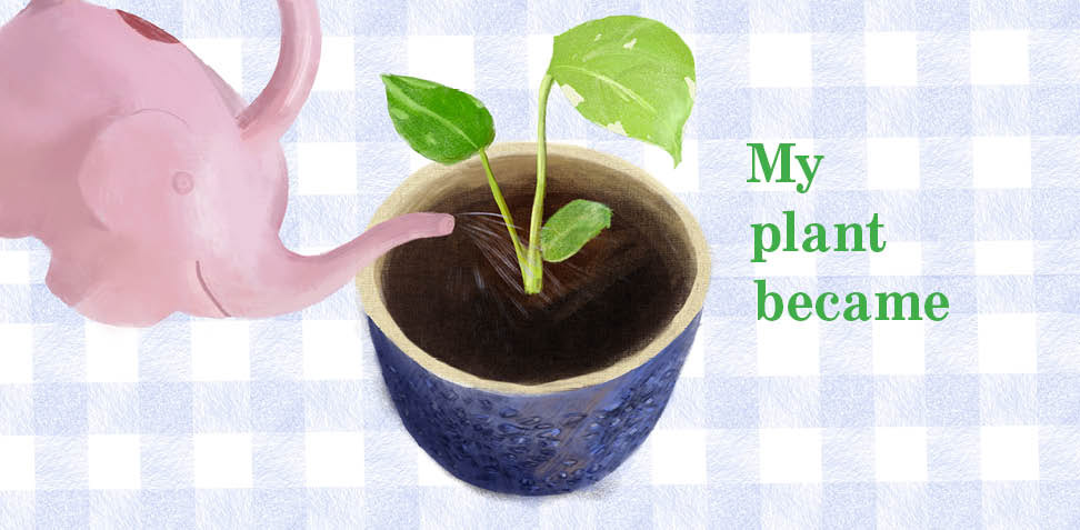 Book Spread, Illustrated with Procreate, Designed with InDesign, March 2026