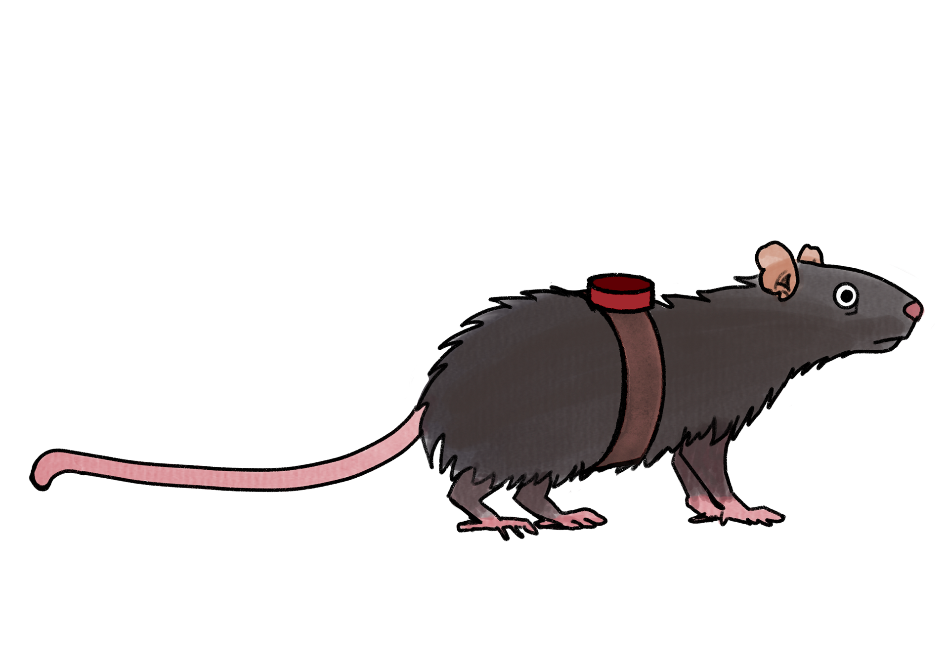 Illustration - Made on Procreate, March 2025