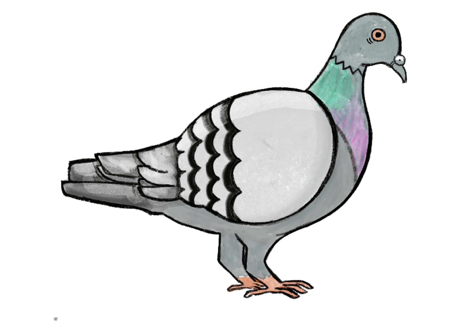 Illustration - Made on Procreate, March 2025