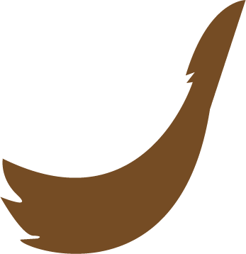 Puppet Asset - Adobe Illustrator , March 2025