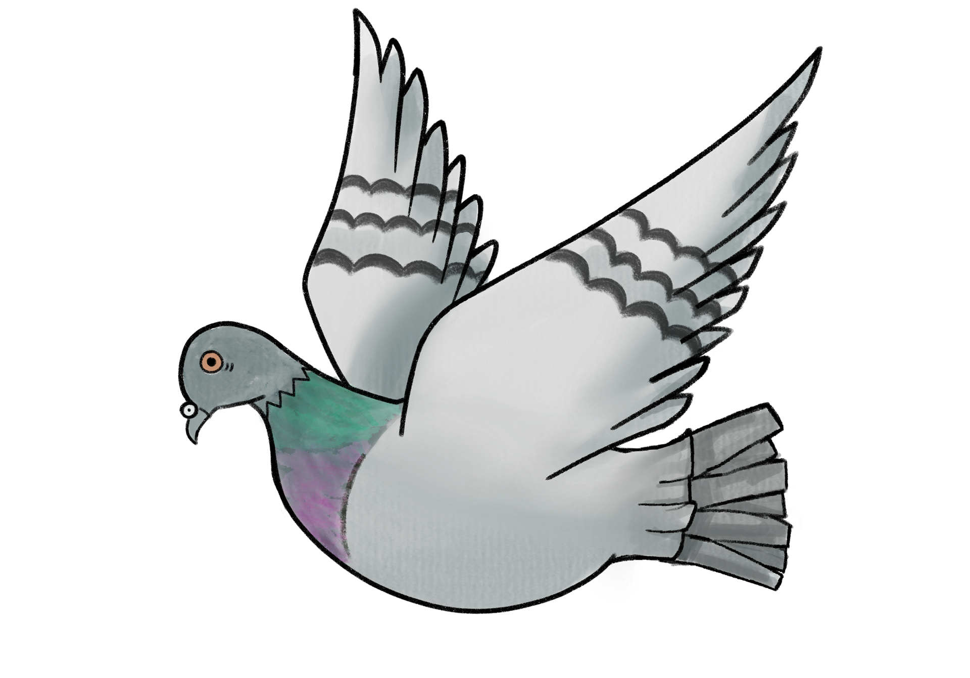 Illustration - Made on Procreate, March 2025