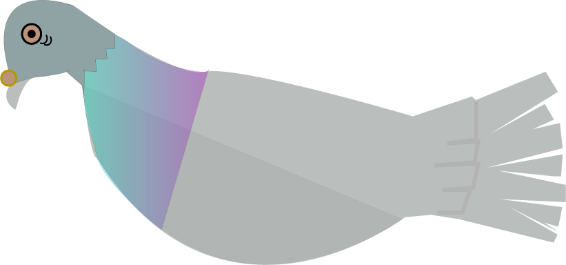 Puppet Asset - Adobe Illustrator , March 2025