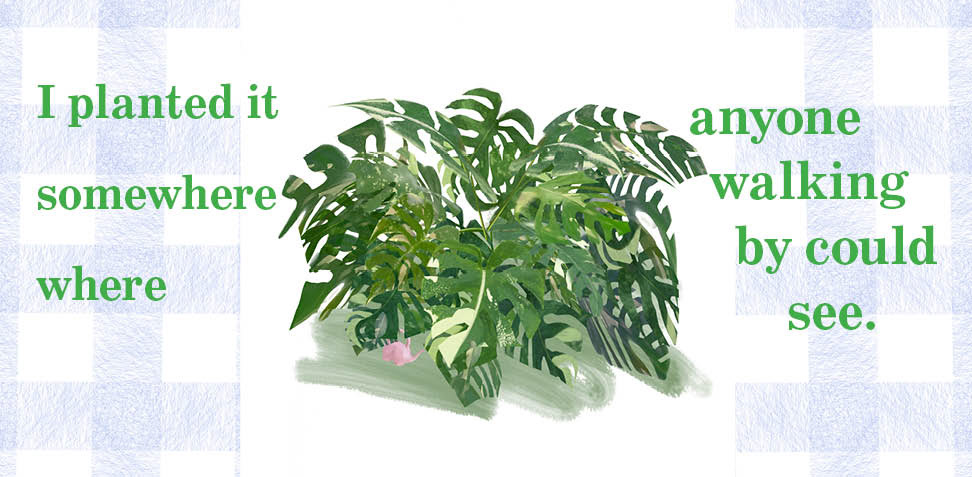 Book Spread, Illustrated with Procreate, Designed with InDesign, March 2026