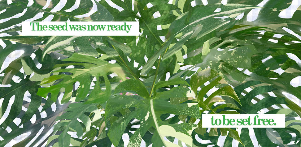 Book Spread, Illustrated with Procreate, Designed with InDesign, March 2026