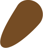 Puppet Asset - Adobe Illustrator , March 2025