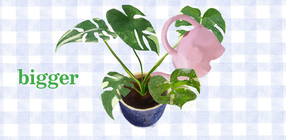 Book Spread, Illustrated with Procreate, Designed with InDesign, March 2026