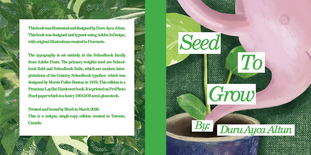 Book Cover, Illustrated with Procreate, Designed with InDesign, March 2026