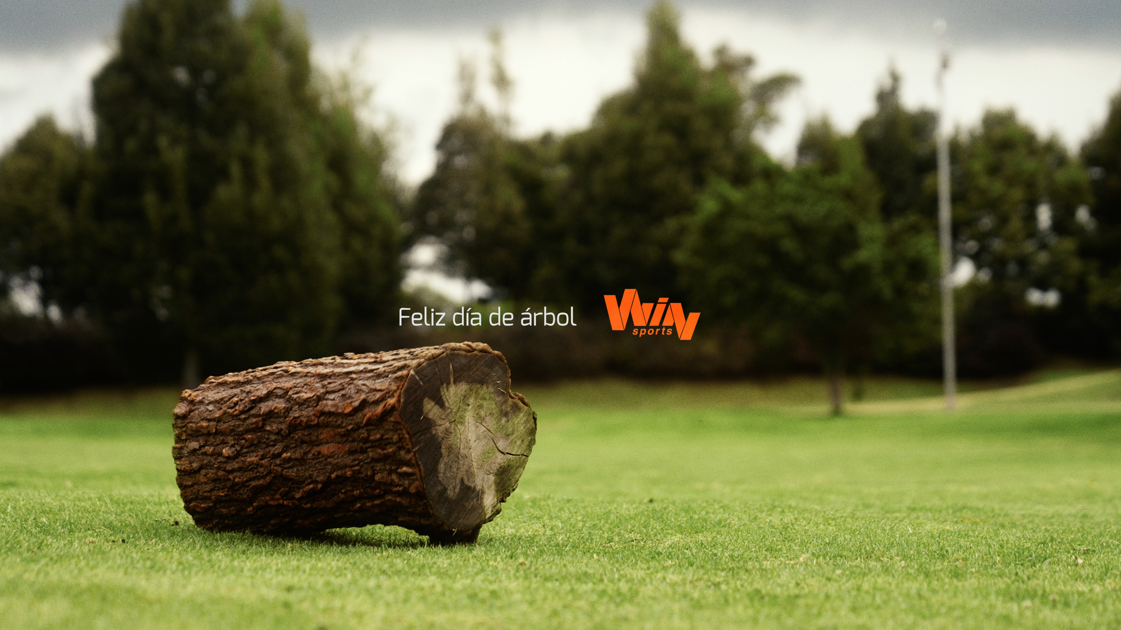 Día del Árbol