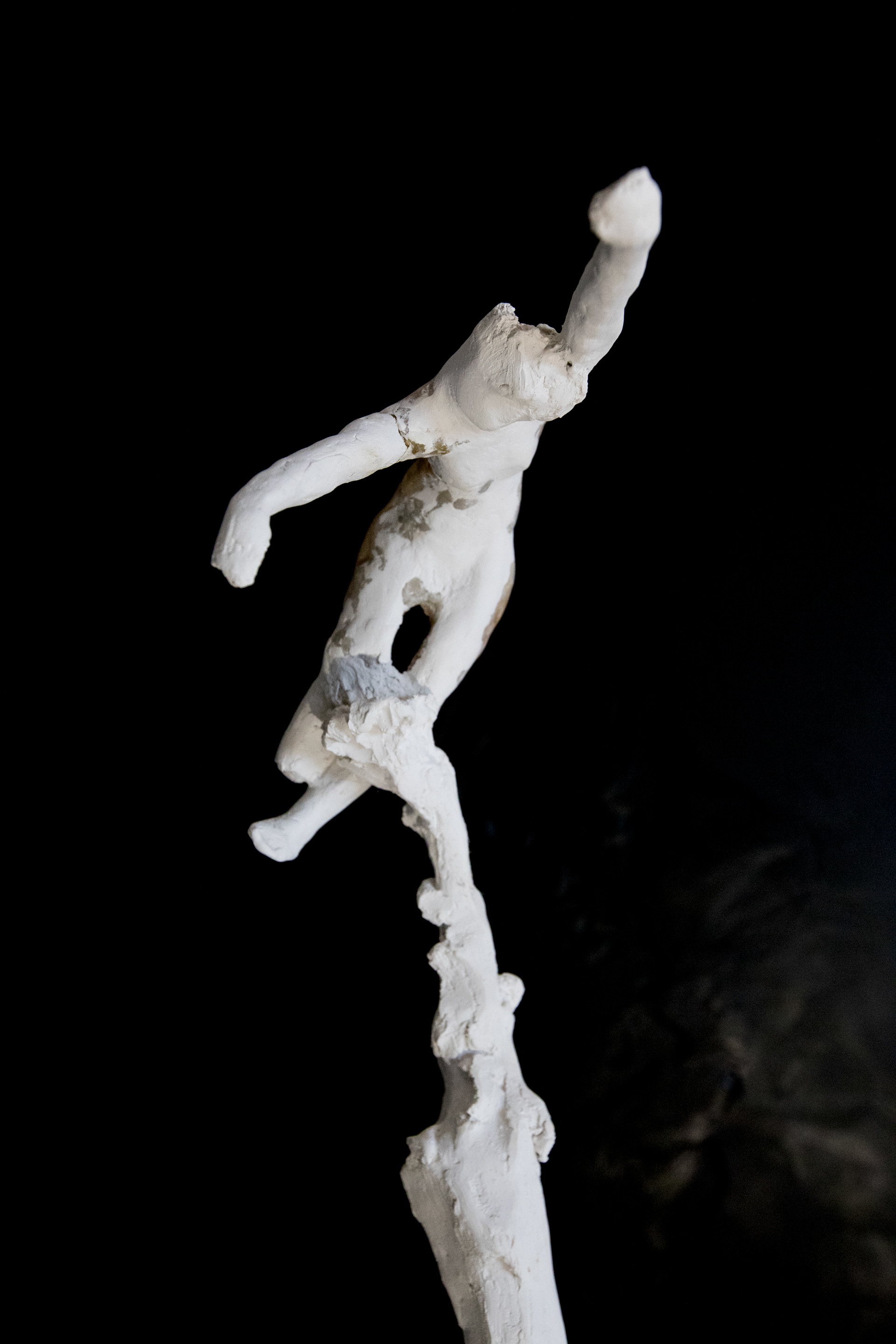 Olive Branch (2019), plaster, clay, wax