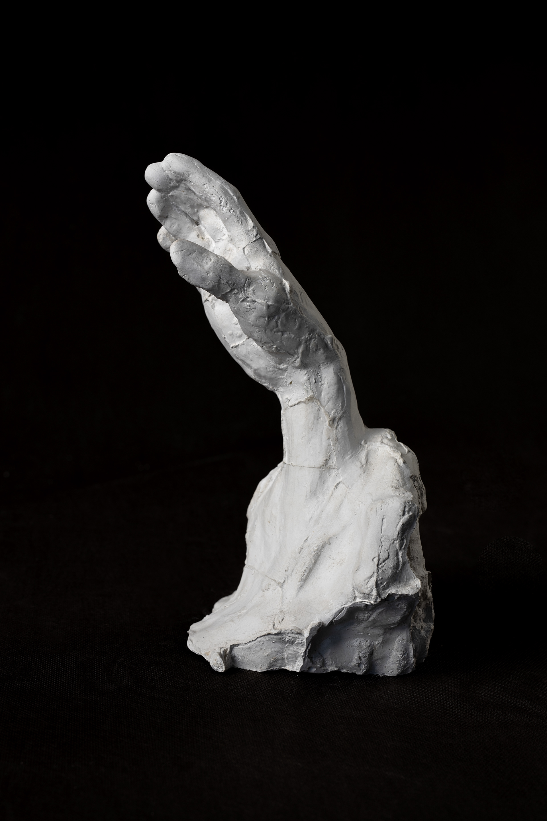 Will of Gods (2019), plaster