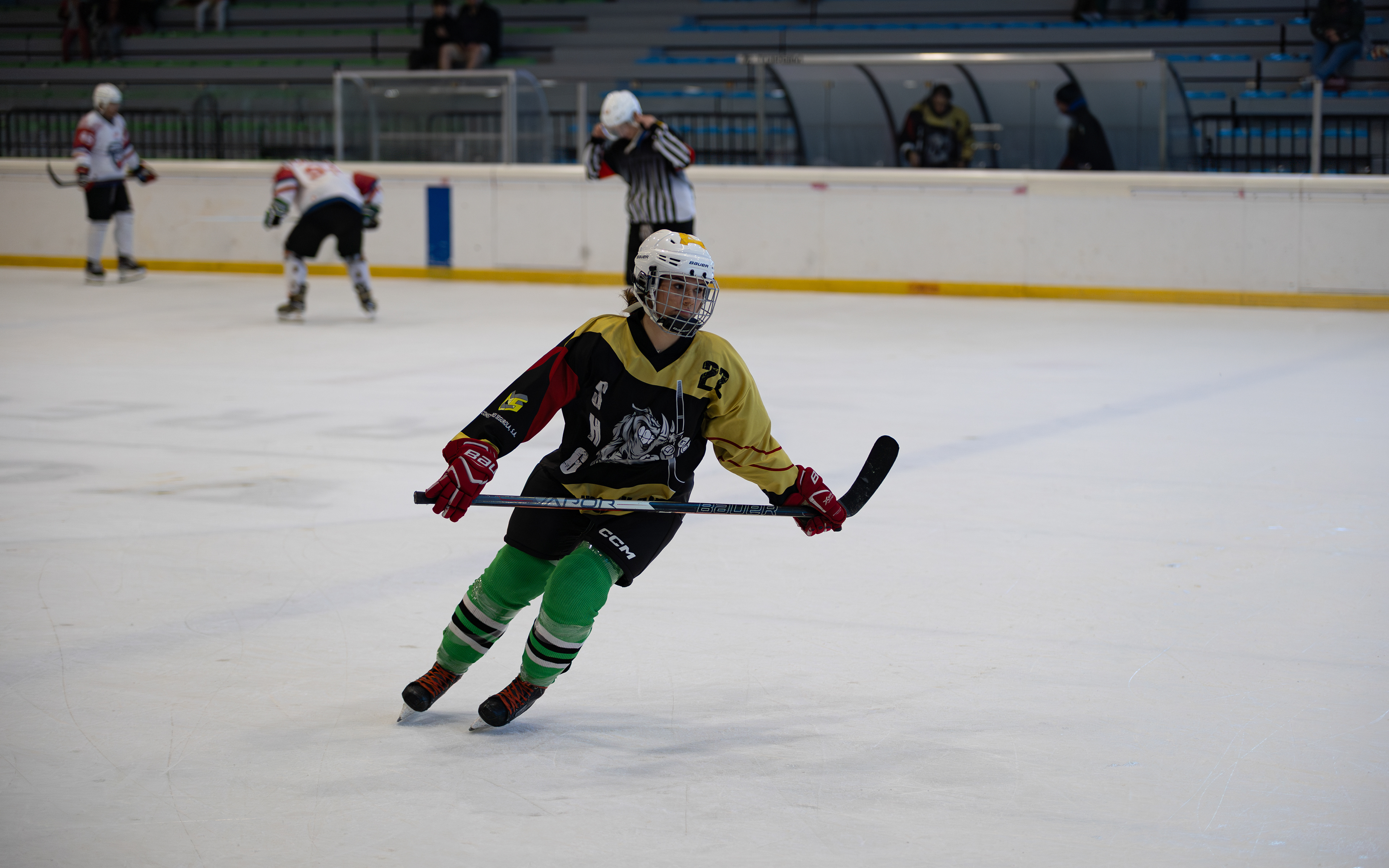Hockey Hielo Vitoria-Gasteiz