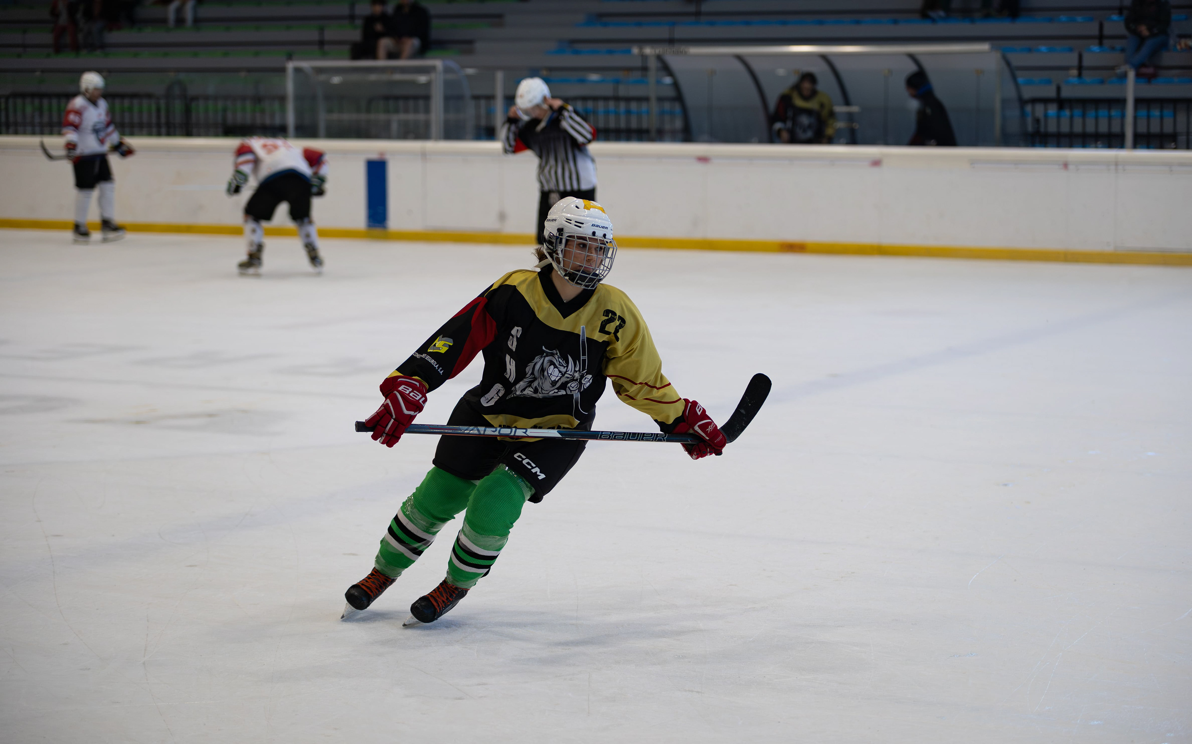Hockey Hielo Vitoria-Gasteiz