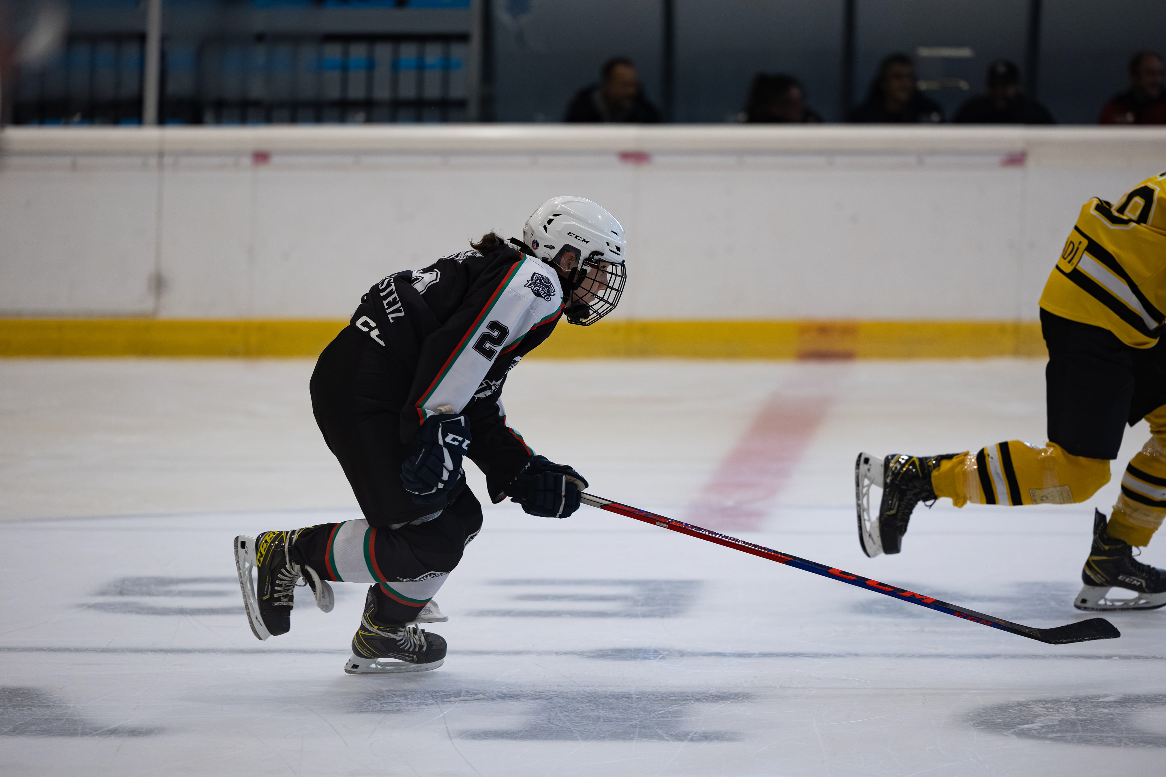 Hockey Tartalo Gasteiz