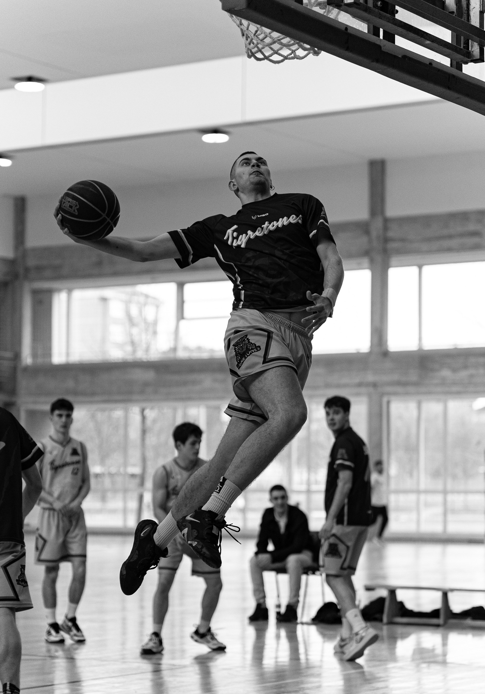 Basket Tigretones Araberri