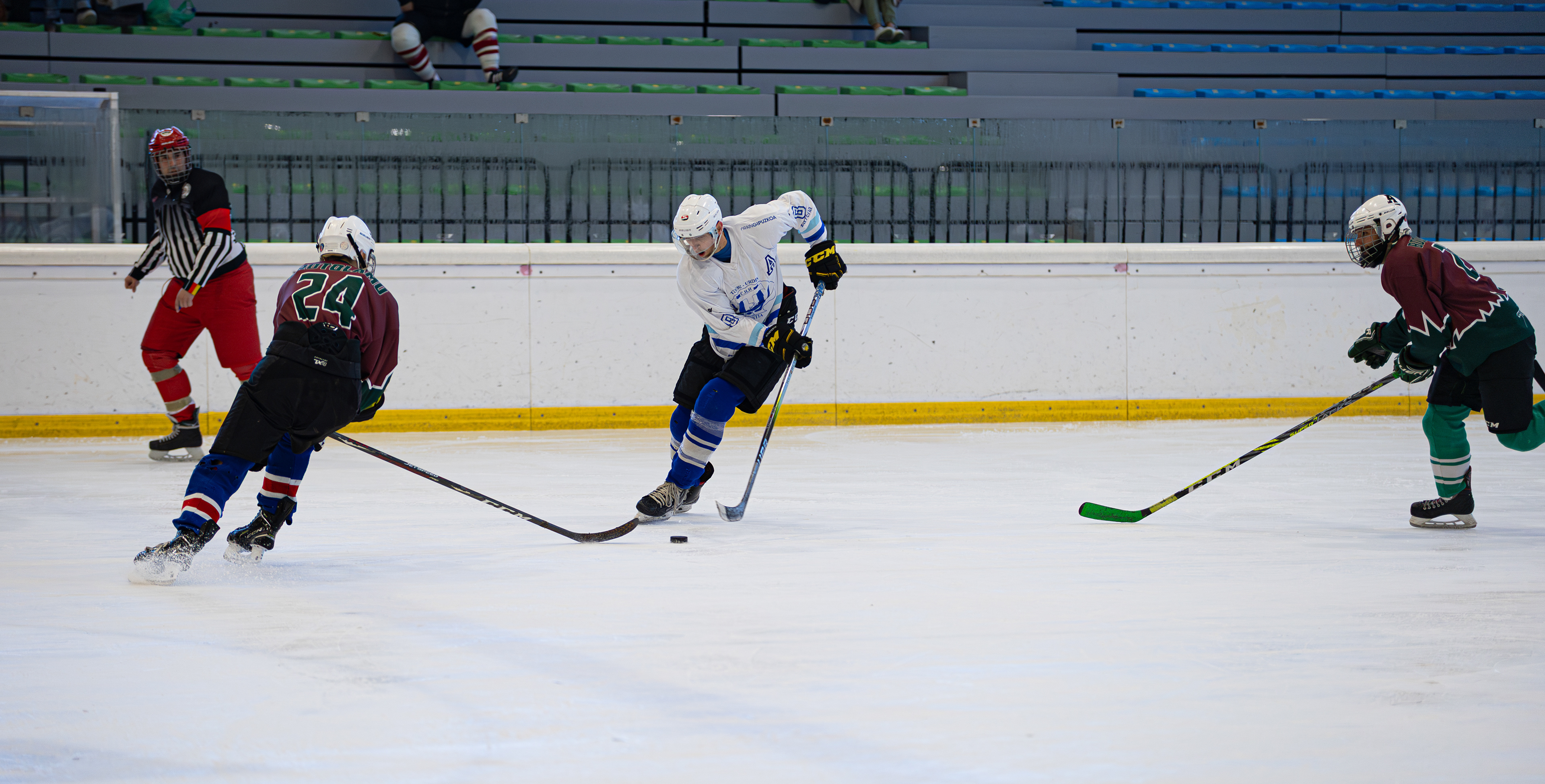 Hockey Hielo Vitoria-Gasteiz
