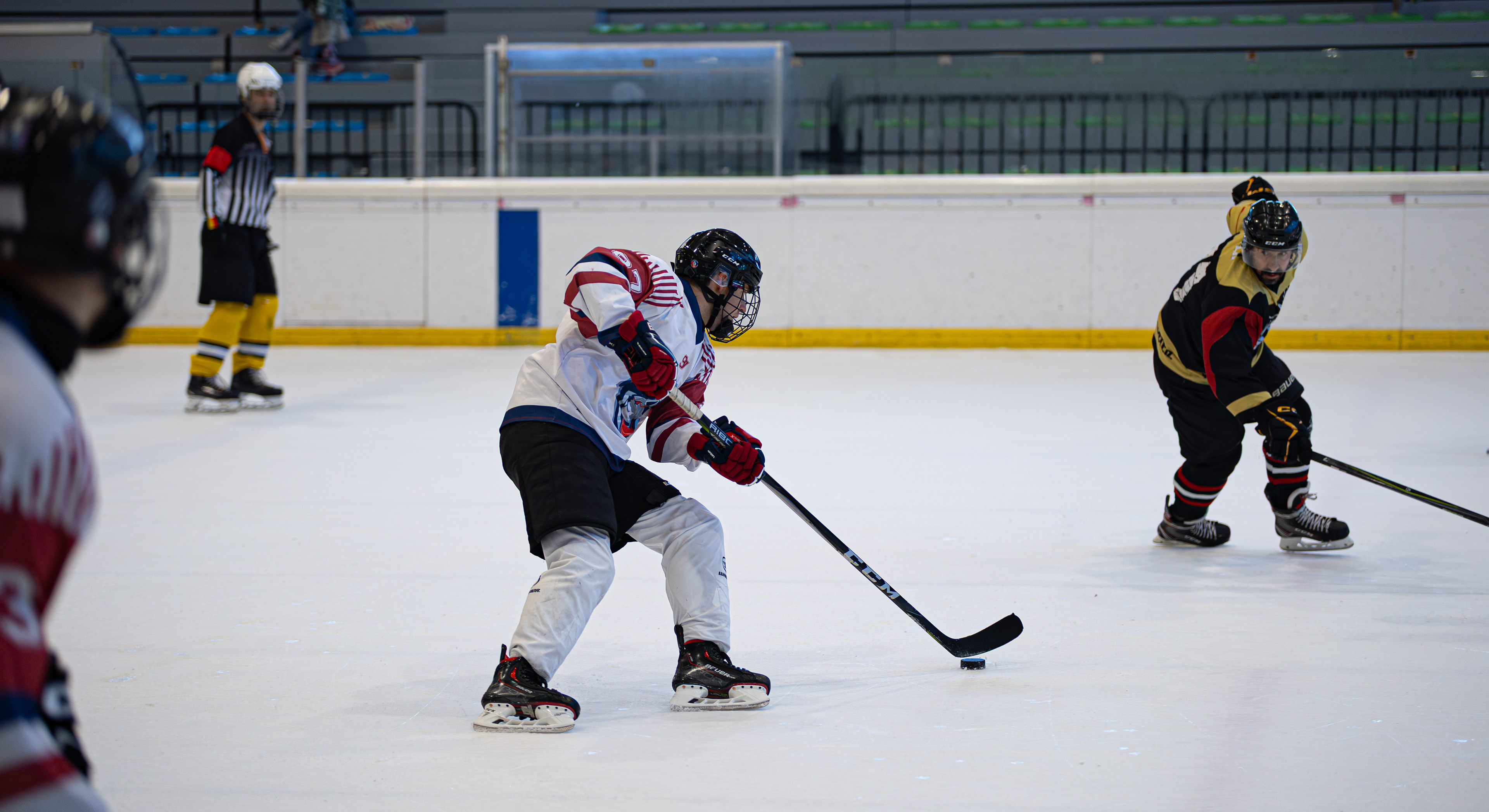 Hockey Hielo Vitoria-Gasteiz