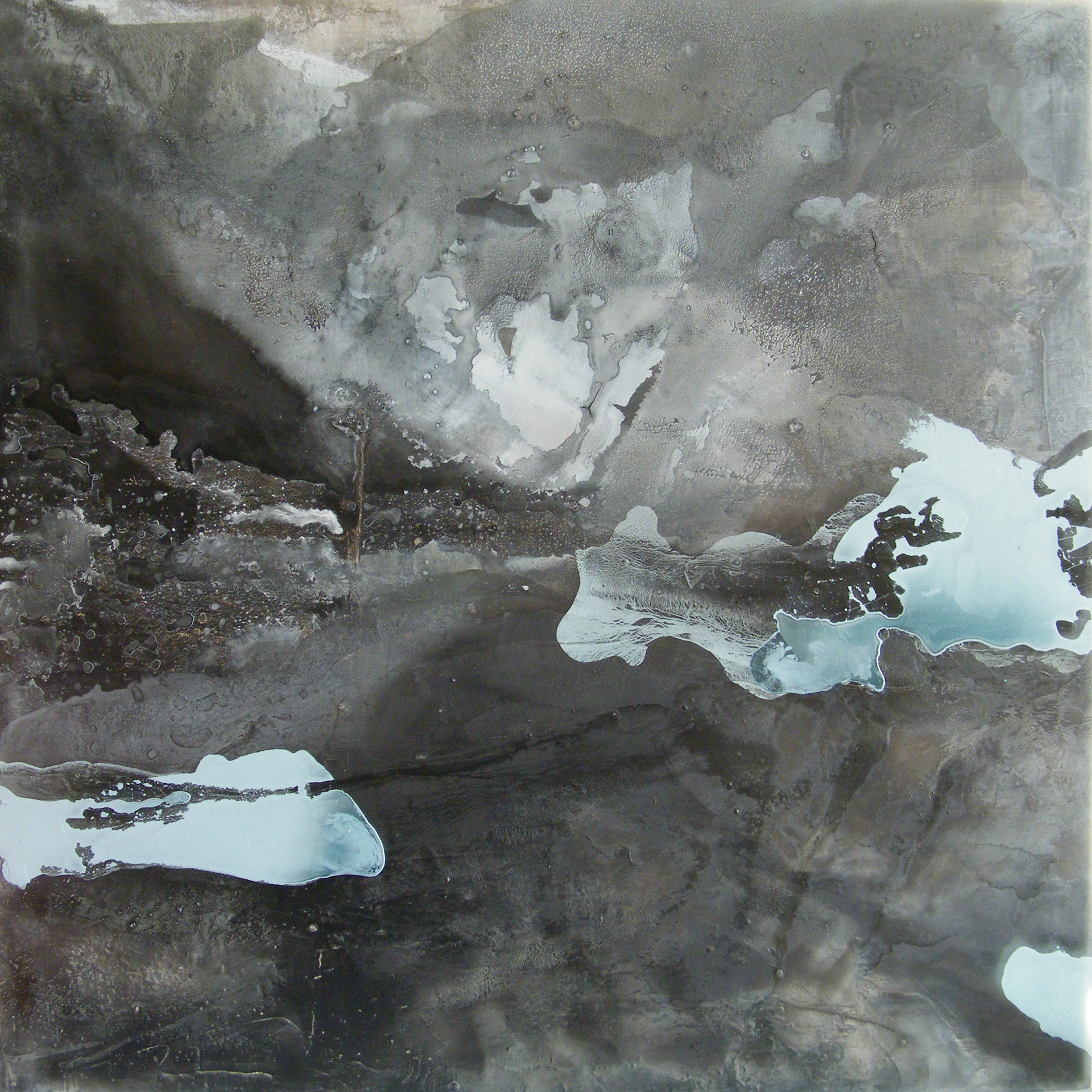 Single Tree 80 x 80cm, oil & acrylic on canvas