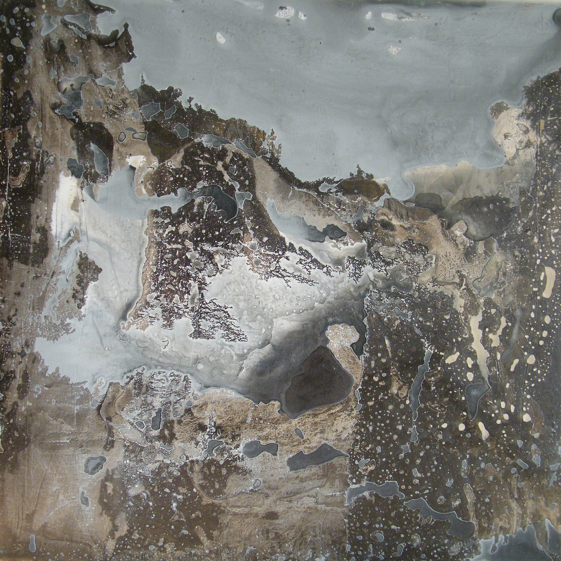 Hedgedance 80 x 80cm, oil & acrylic on canvas