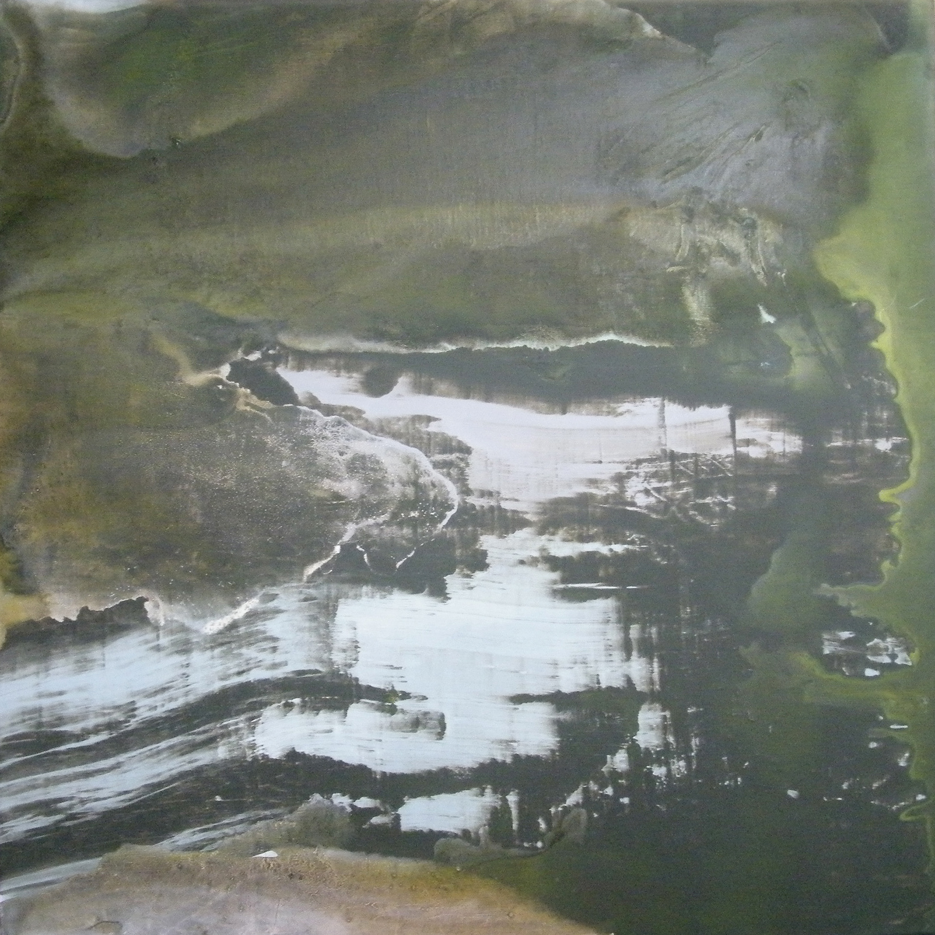 Tree Dark 80 x 80cm oil & acrylic on canvas