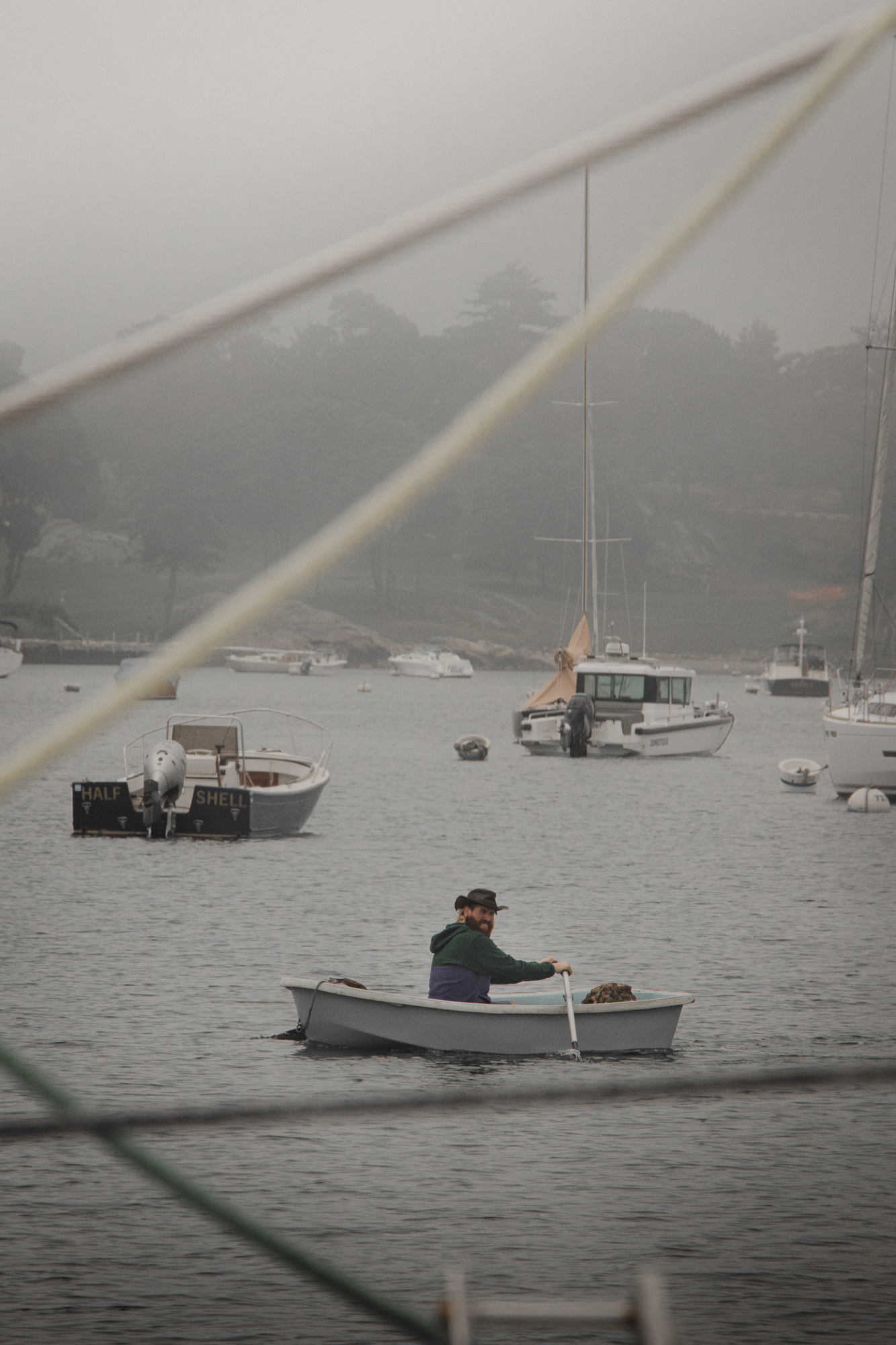 Early Morning Row