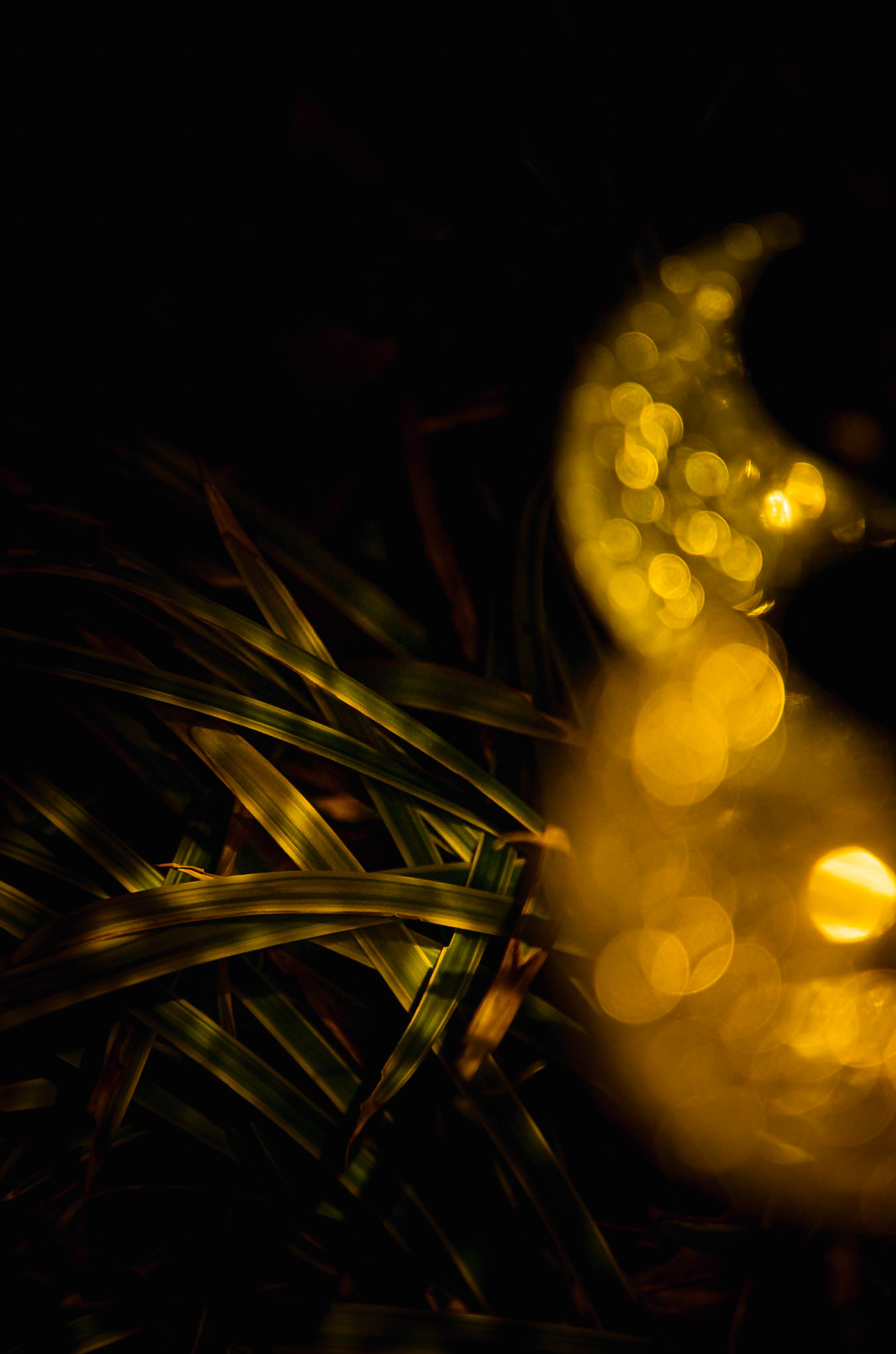 Boule de lumière - n° 09