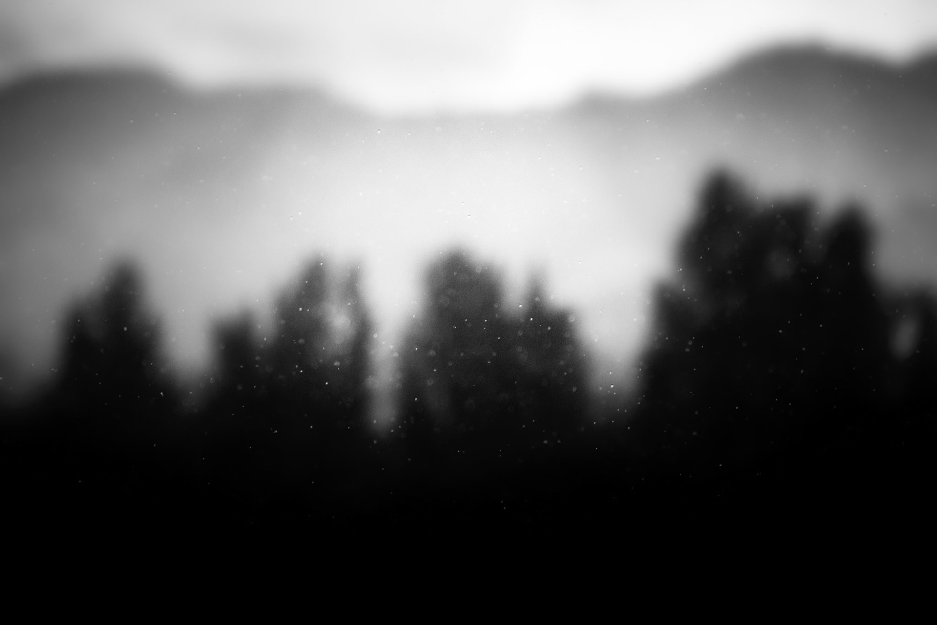 Riders of the apocalypse