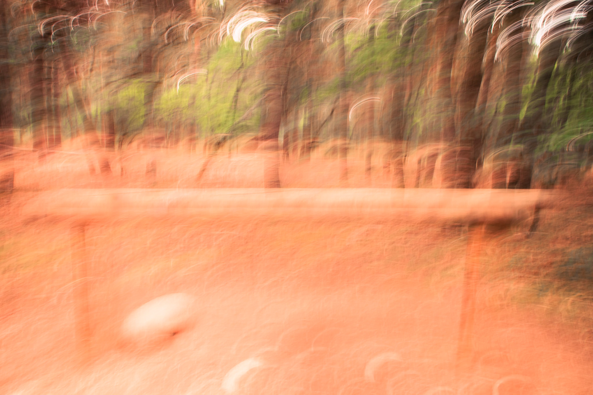 Forêts abstraites - n°08