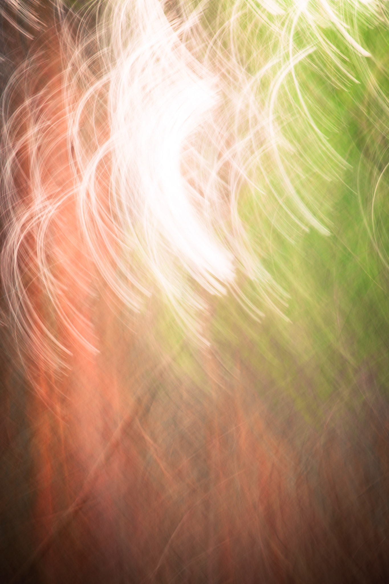 Forêts abstraites - n°02