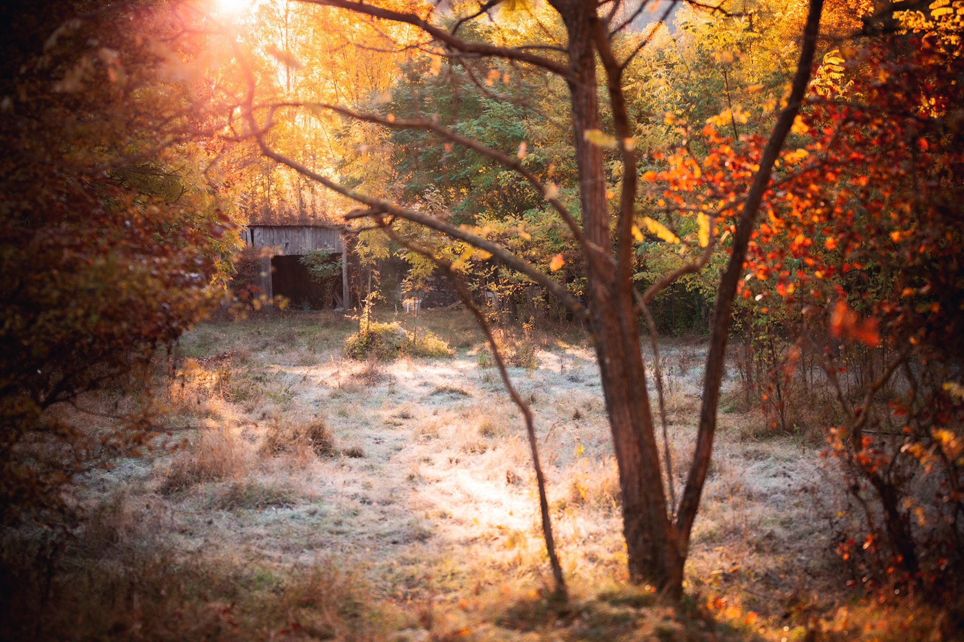 Ambiance automnale - n°06