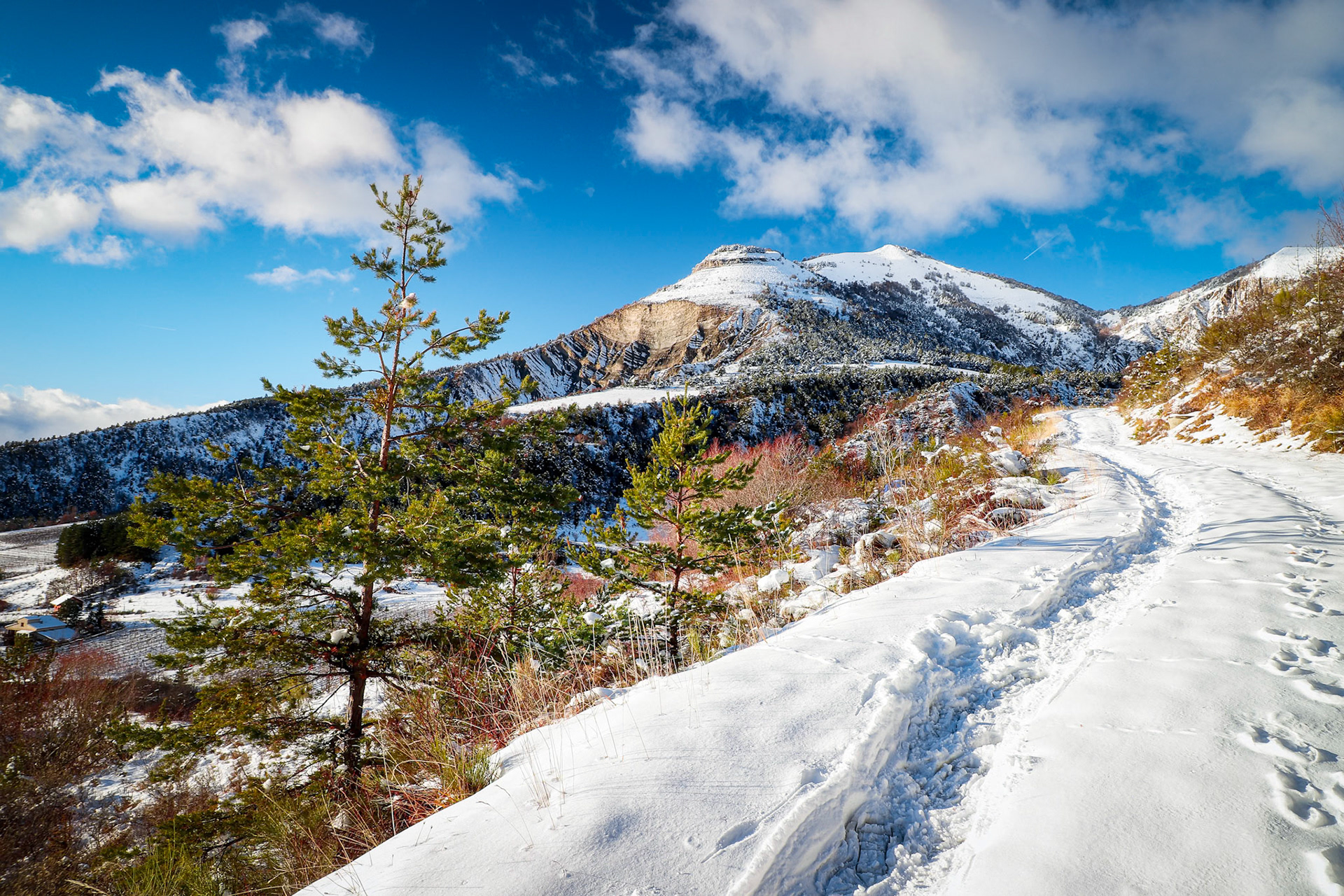 Ambiance hivernale - n°09