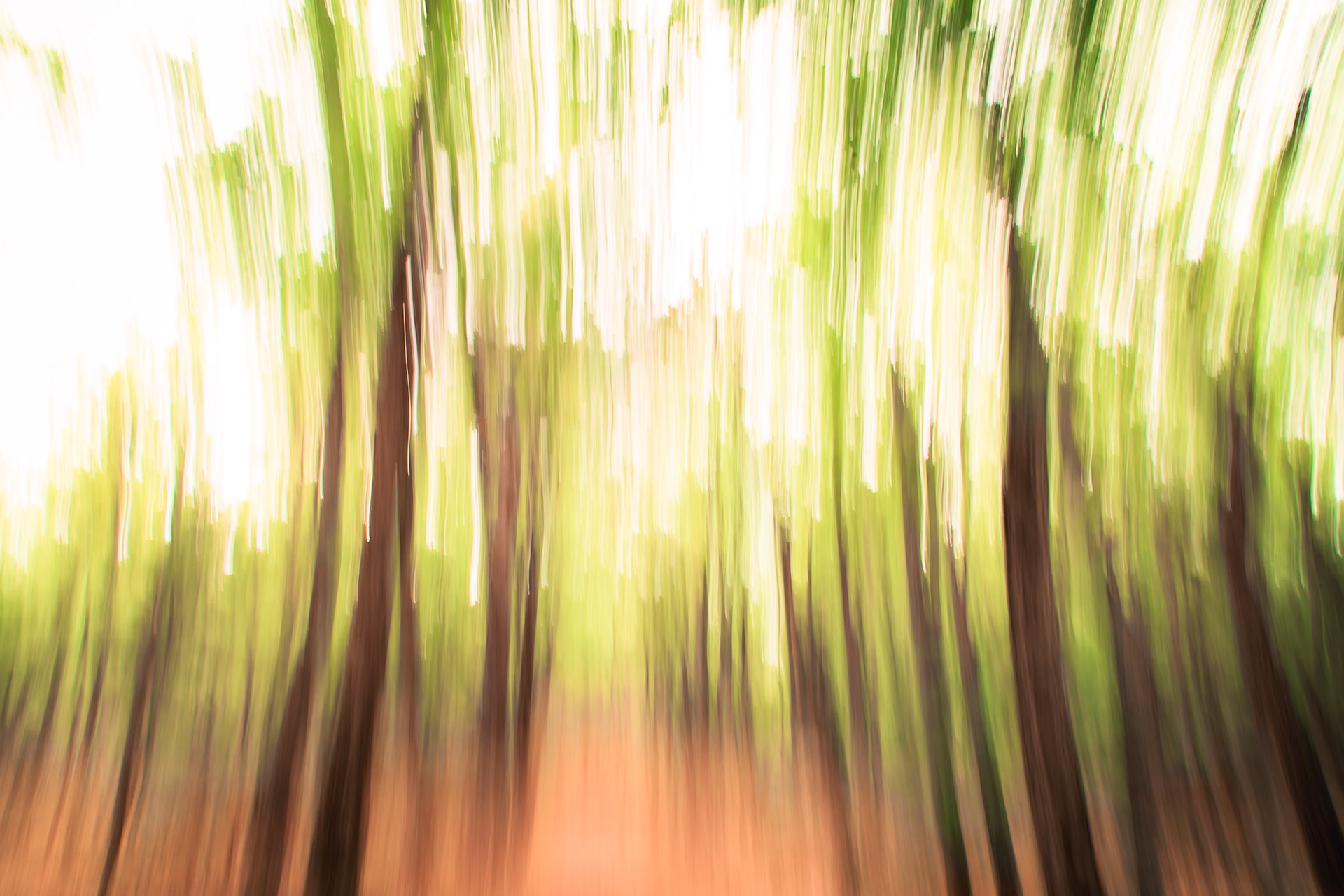 Forêts abstraites - n°09