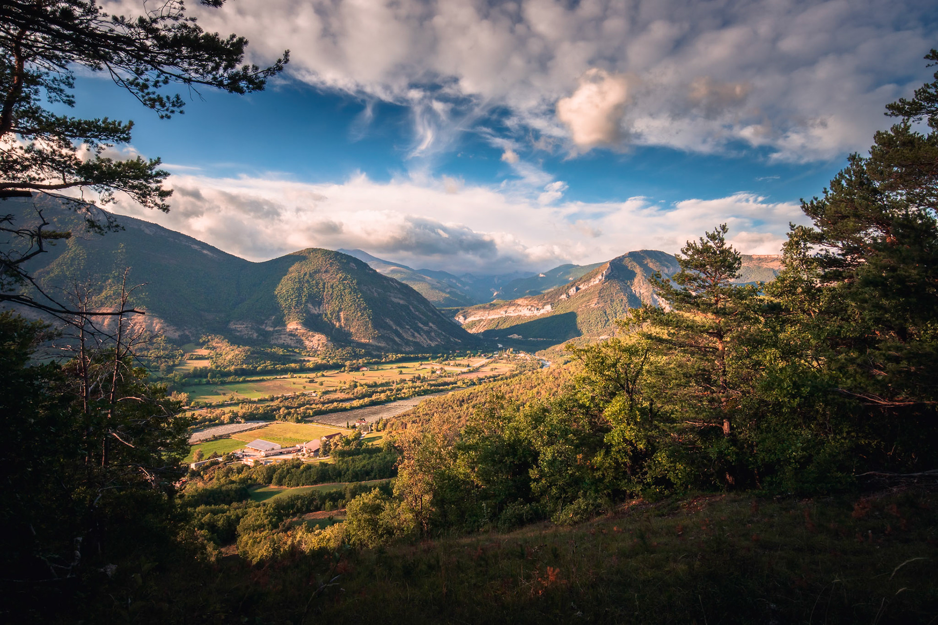 La forêt des Eygaux - n°11