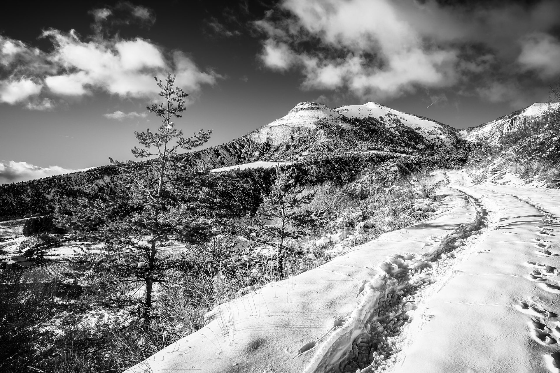 Ambiance hivernale - n°09