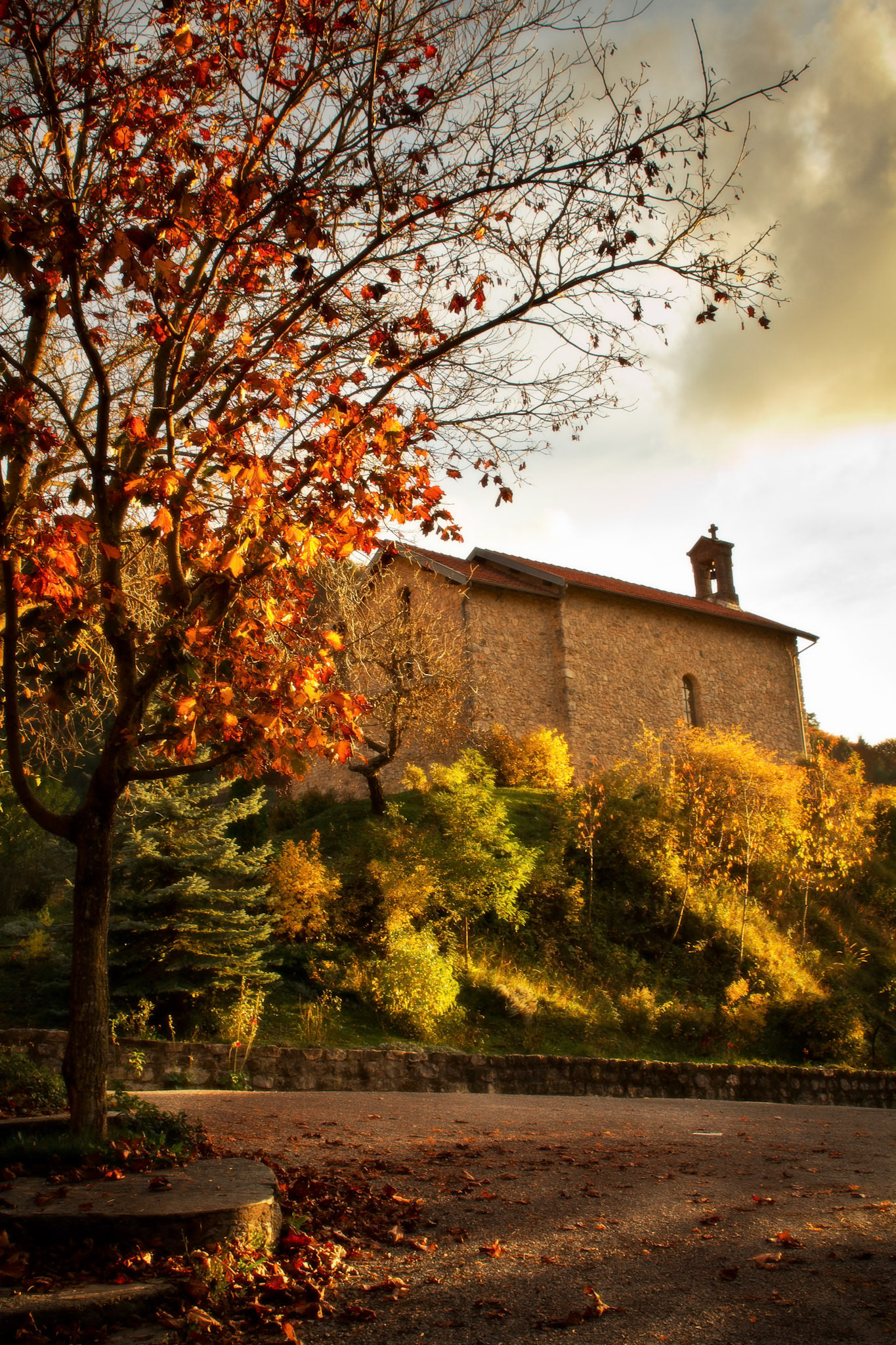 Ambiance automnale - n°02