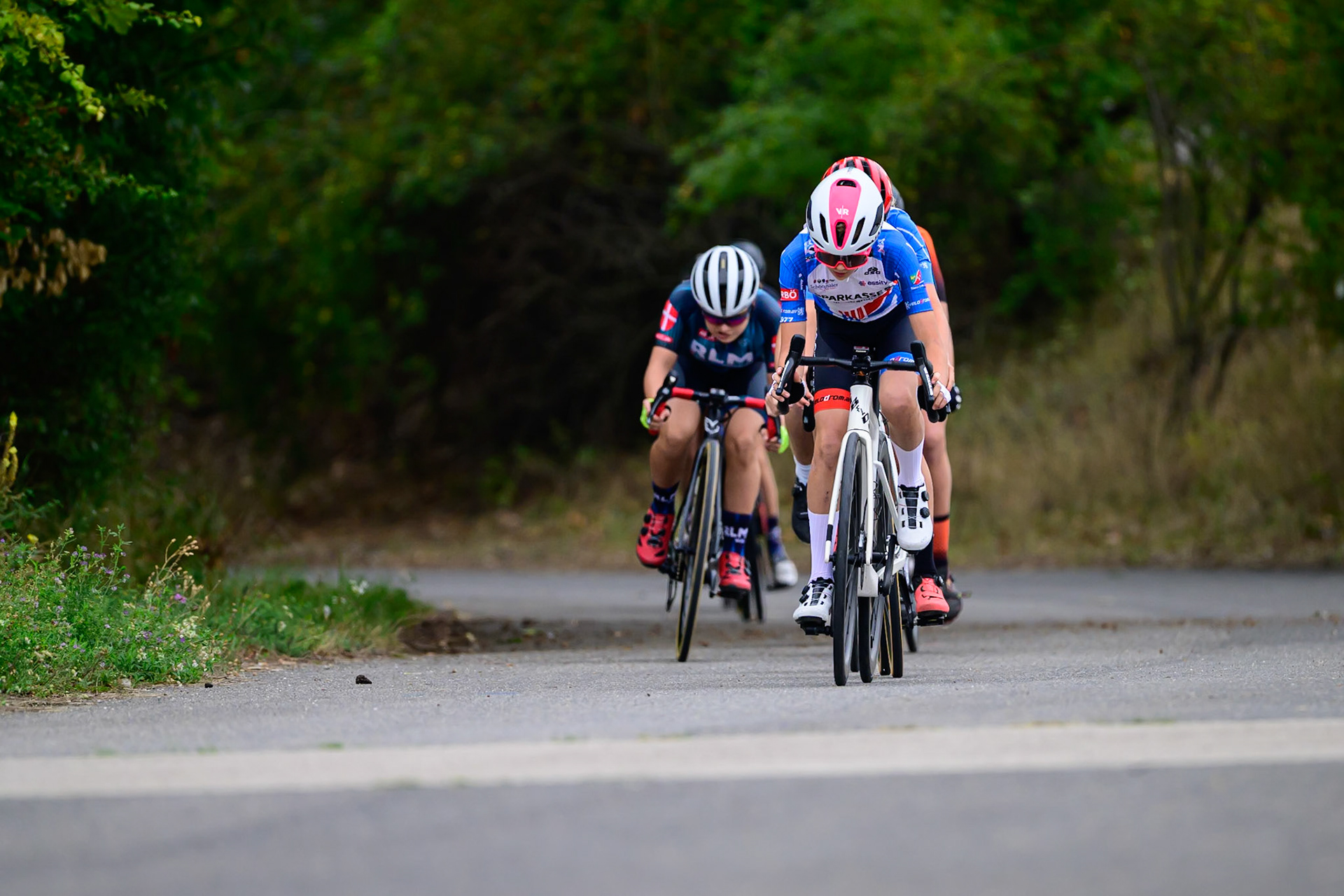 260913_VRD5-LEE0087