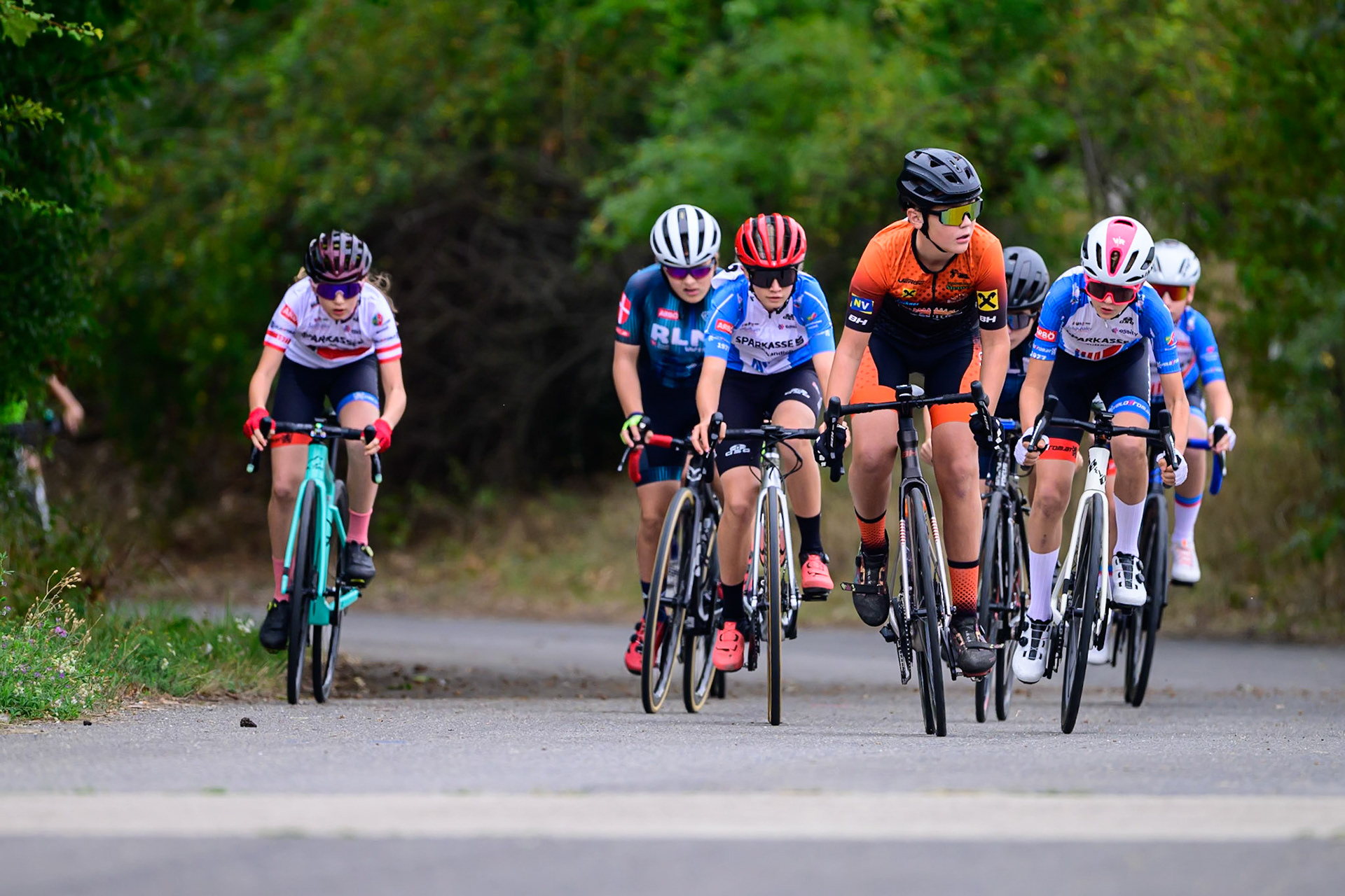 260913_VRD5-LEE0094