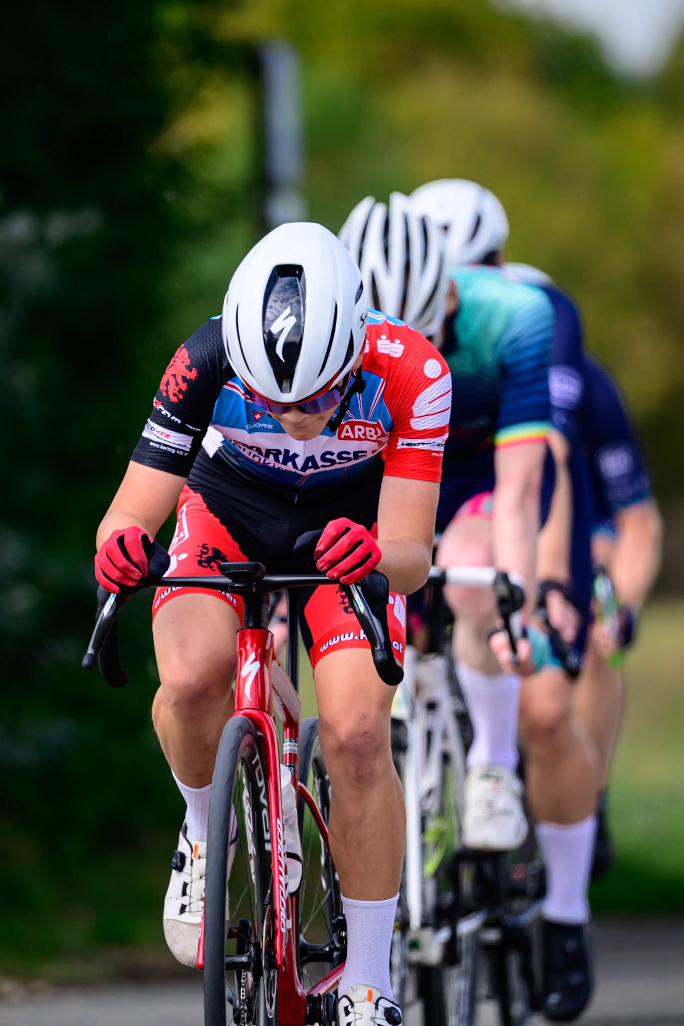 260913_VRD5-LEE0215
