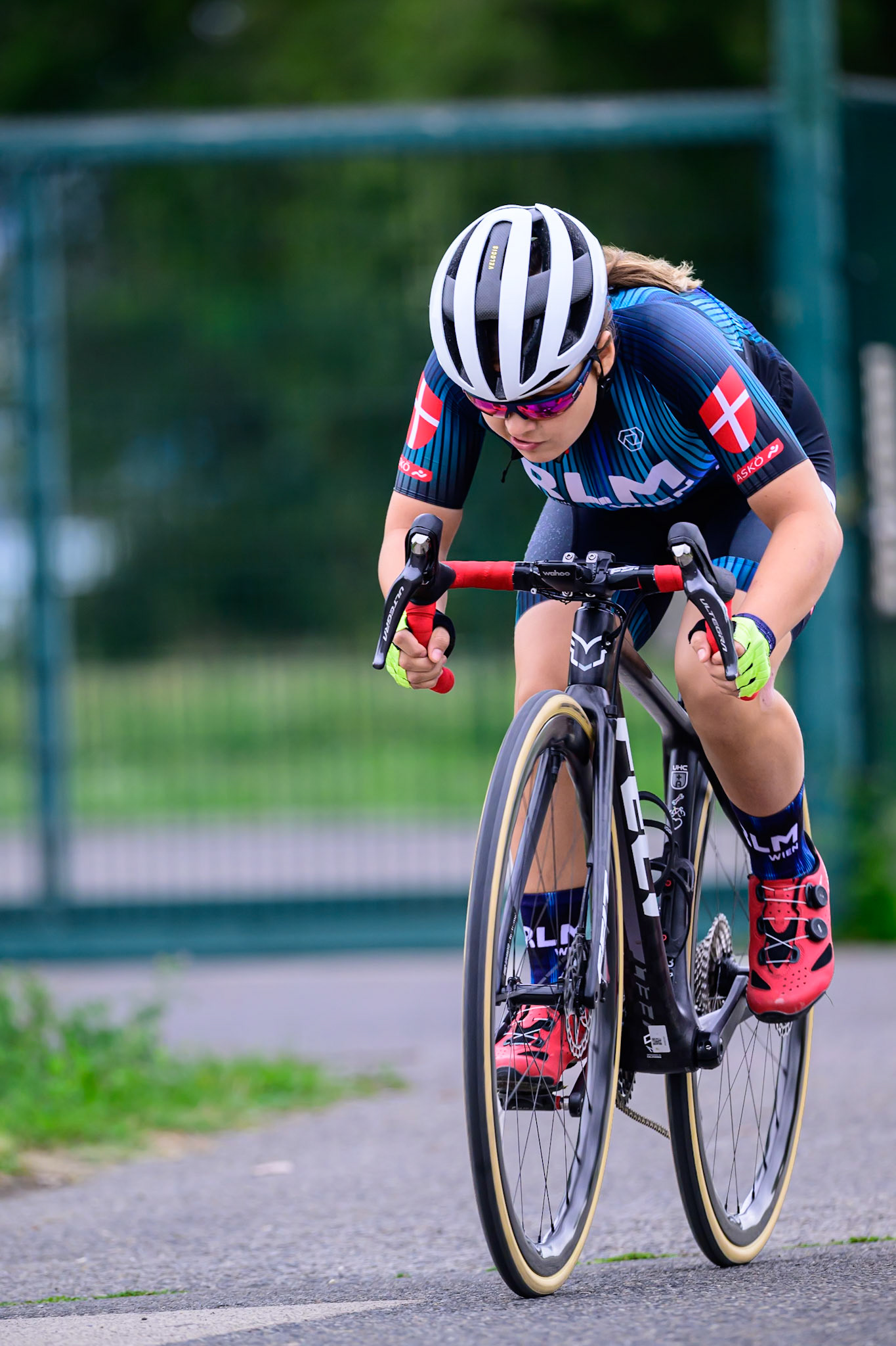 260913_VRD5-LEE0081