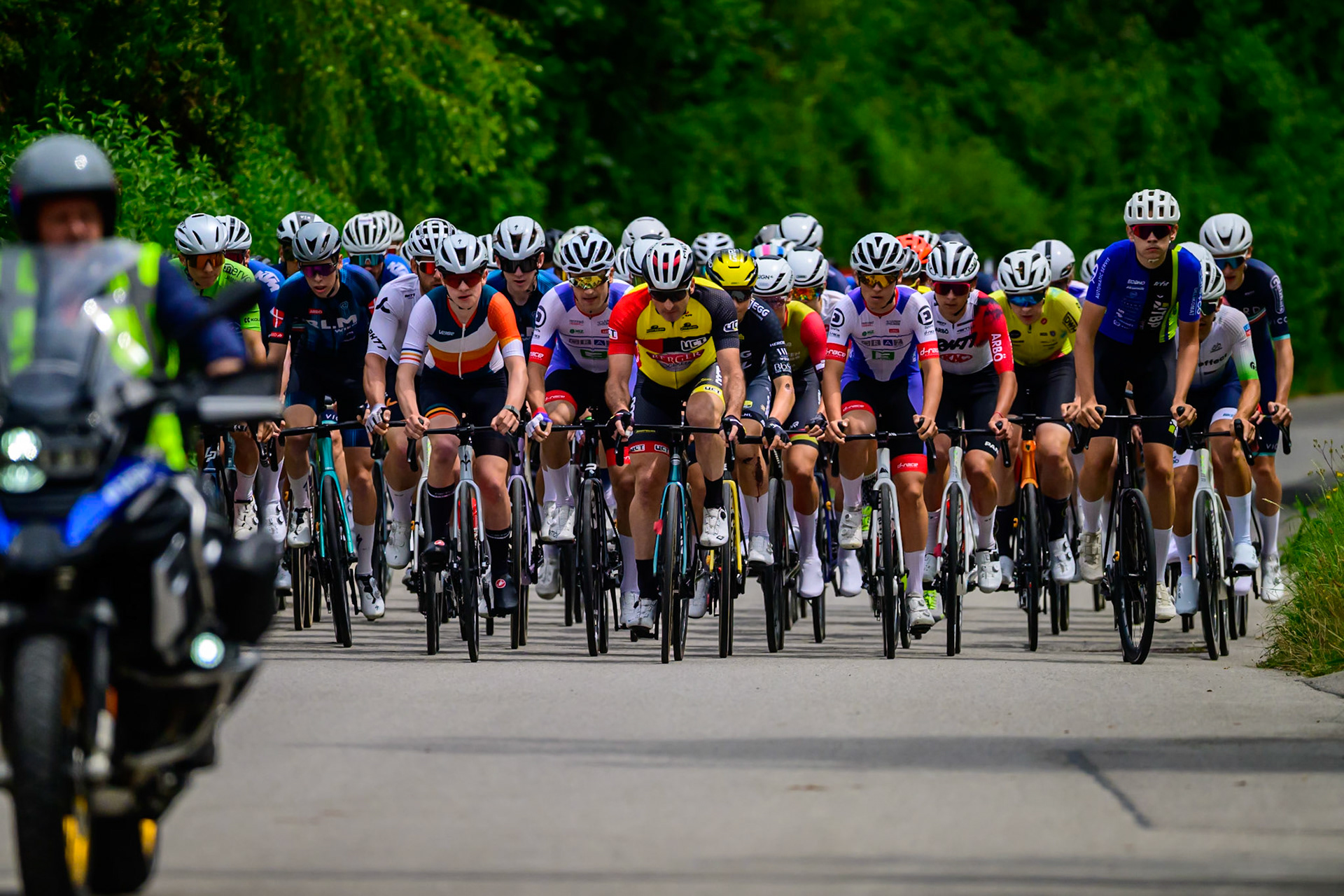 260705PERNITZ-LEE0230