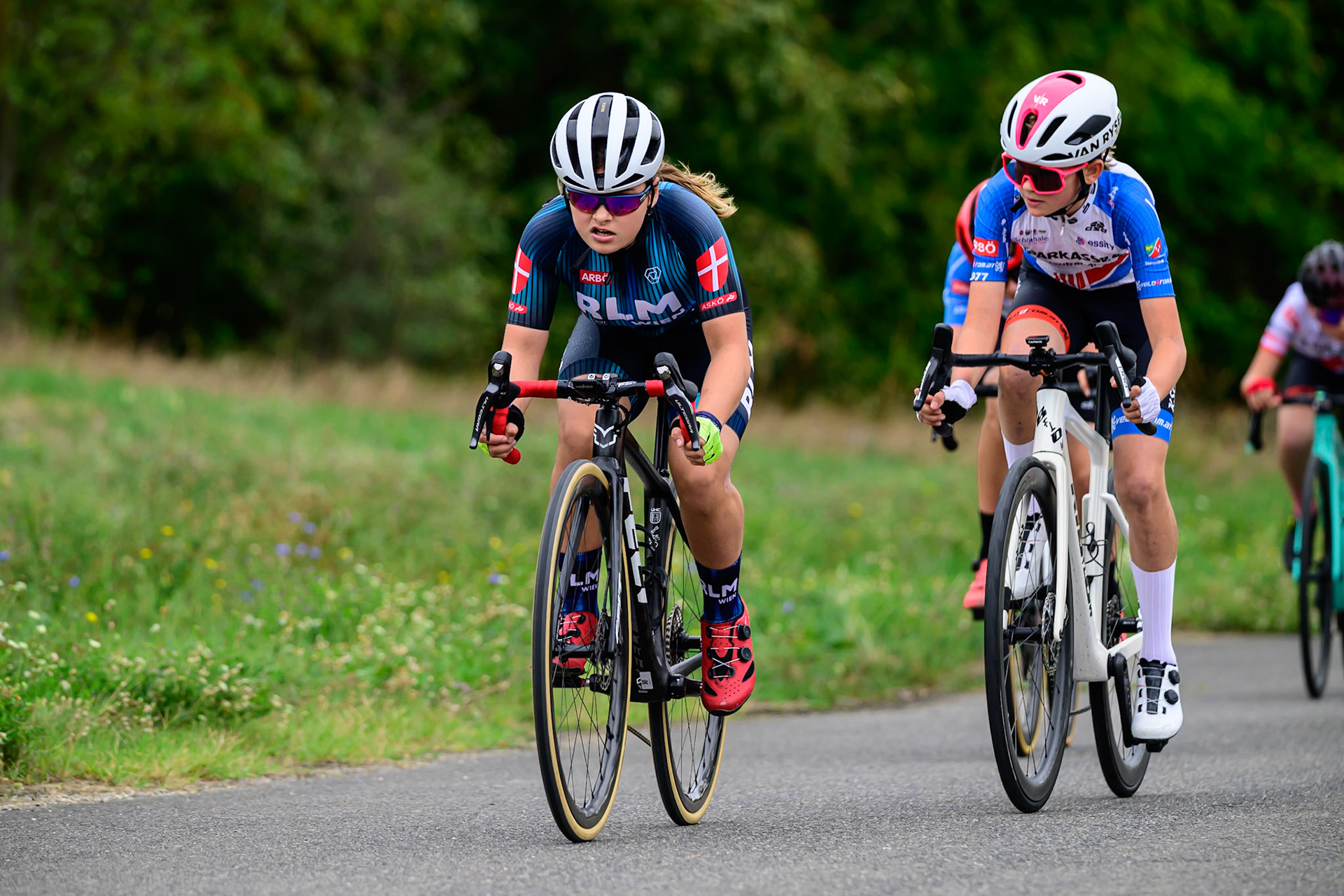 260913_VRD5-LEE0106