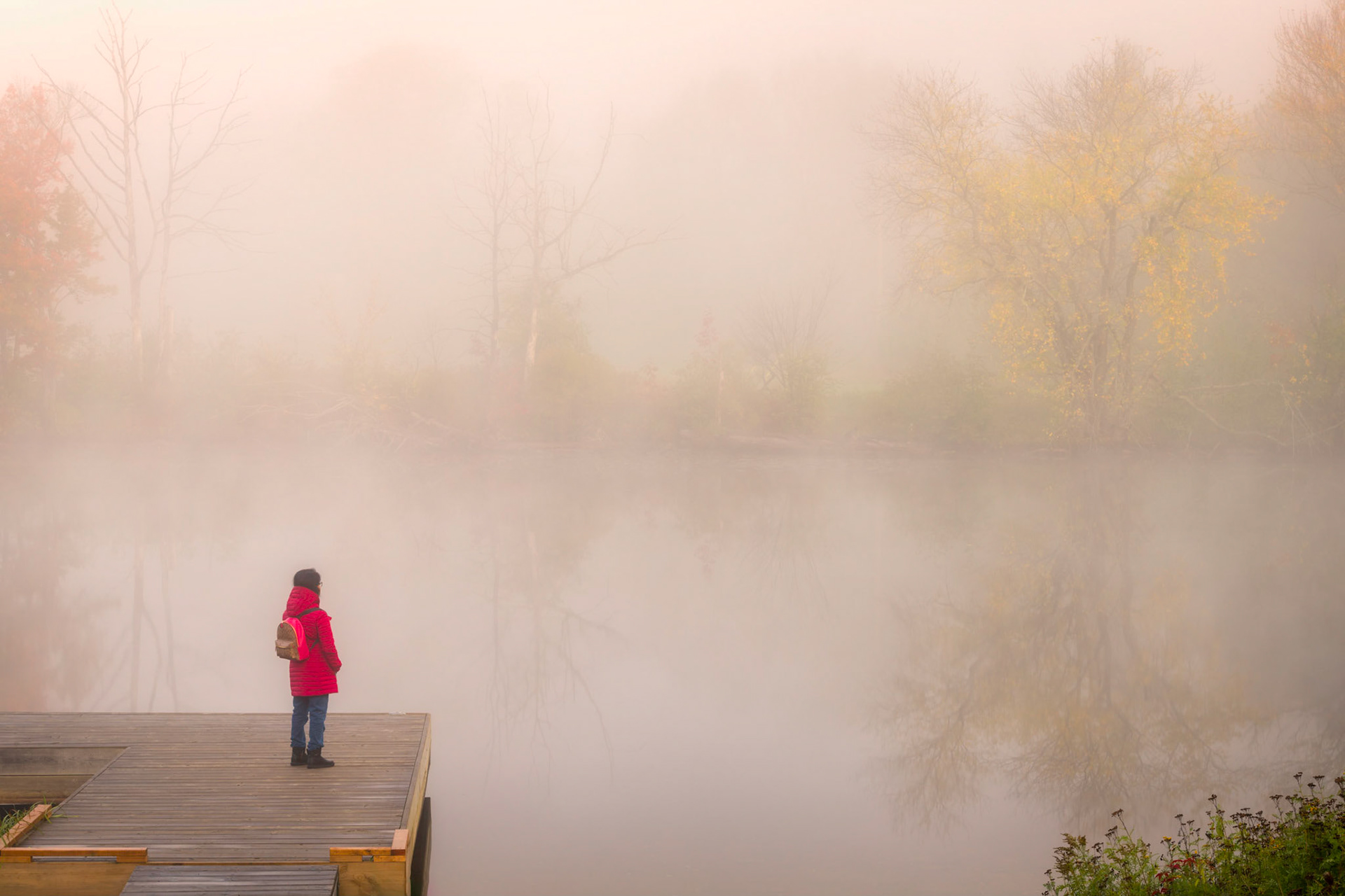 Camera : Nikon D850, Lens : Nikkor 70-200 mm @ 70 mm, Exposure : 1/4 sec at f/16, ISO 64, Location : Huntsville, Ontario, Capture Date : Oct 03, 2020.