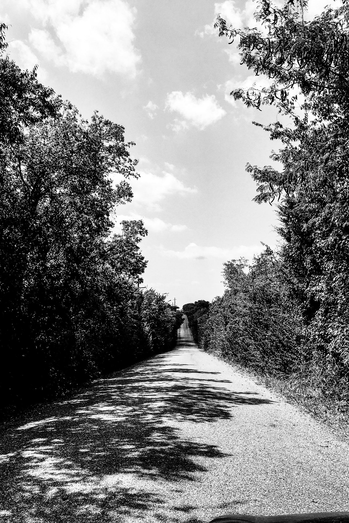 Processed with VSCO with k1 preset