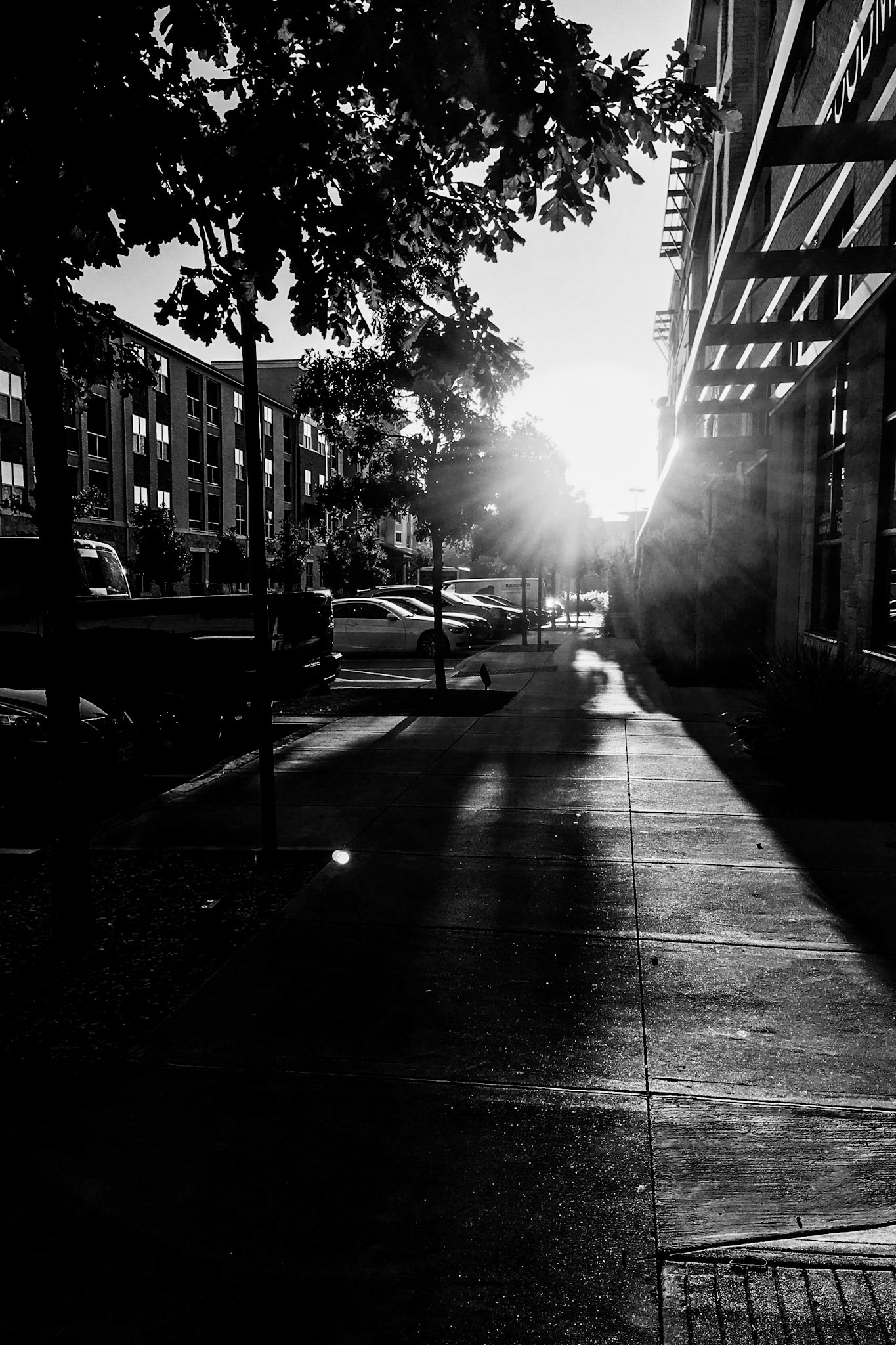 Processed with VSCO with c1 preset