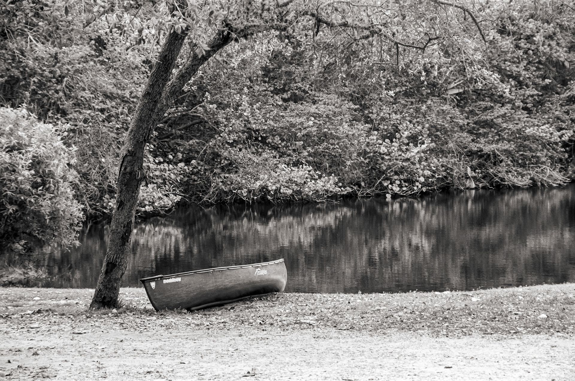 Pond in Hugh Taylor Birch State Park in Ft Lauderdale