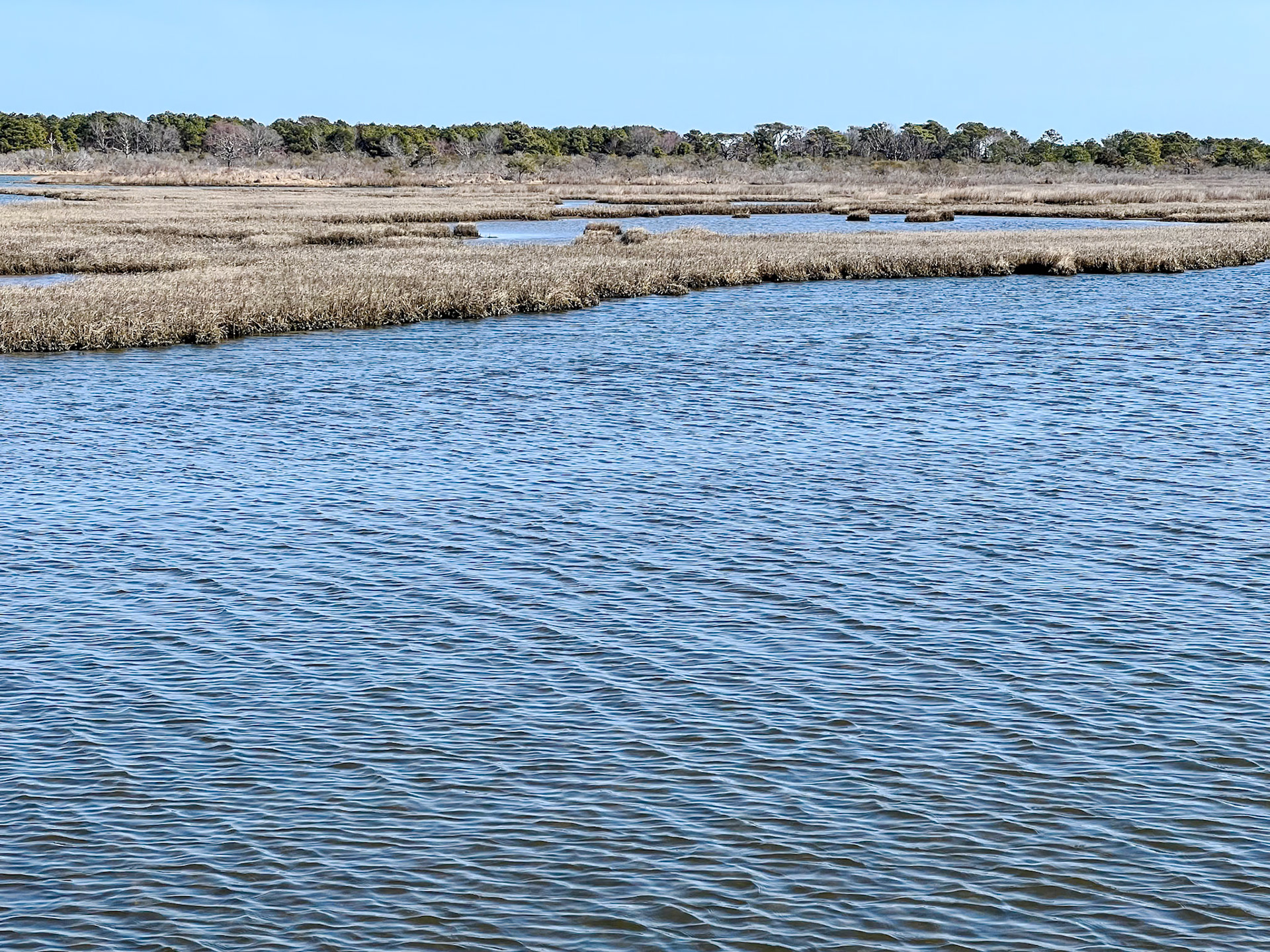Assateague Island, a National Seashore