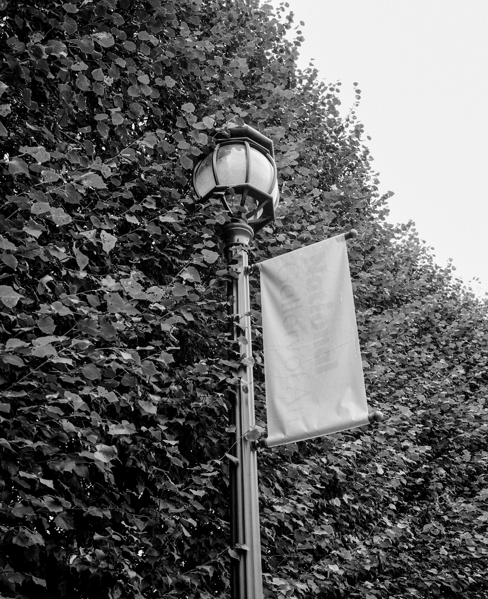 National Gallery of Art garden