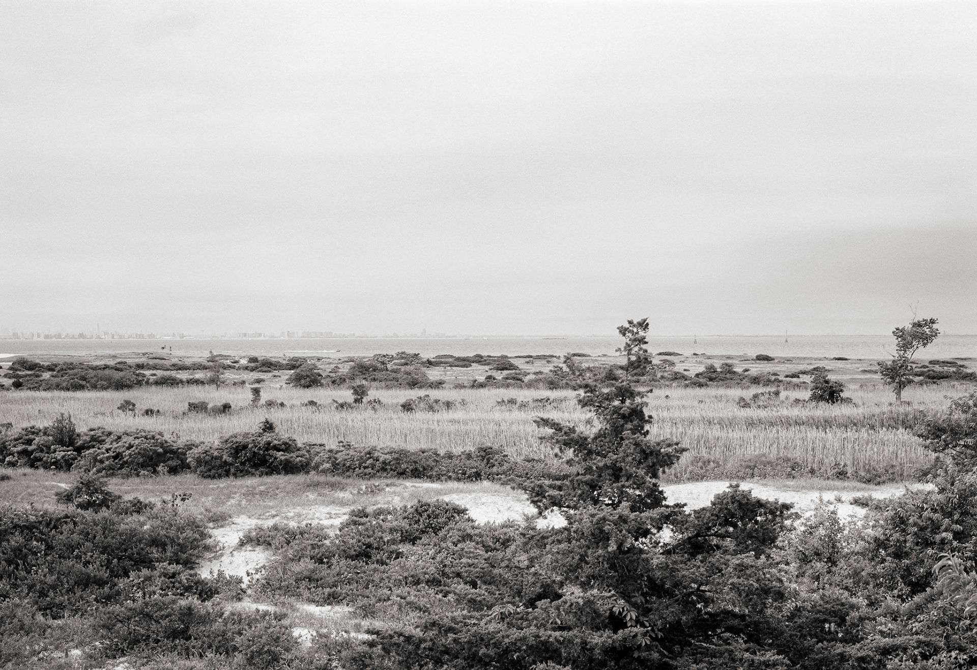 Looking toward NYC